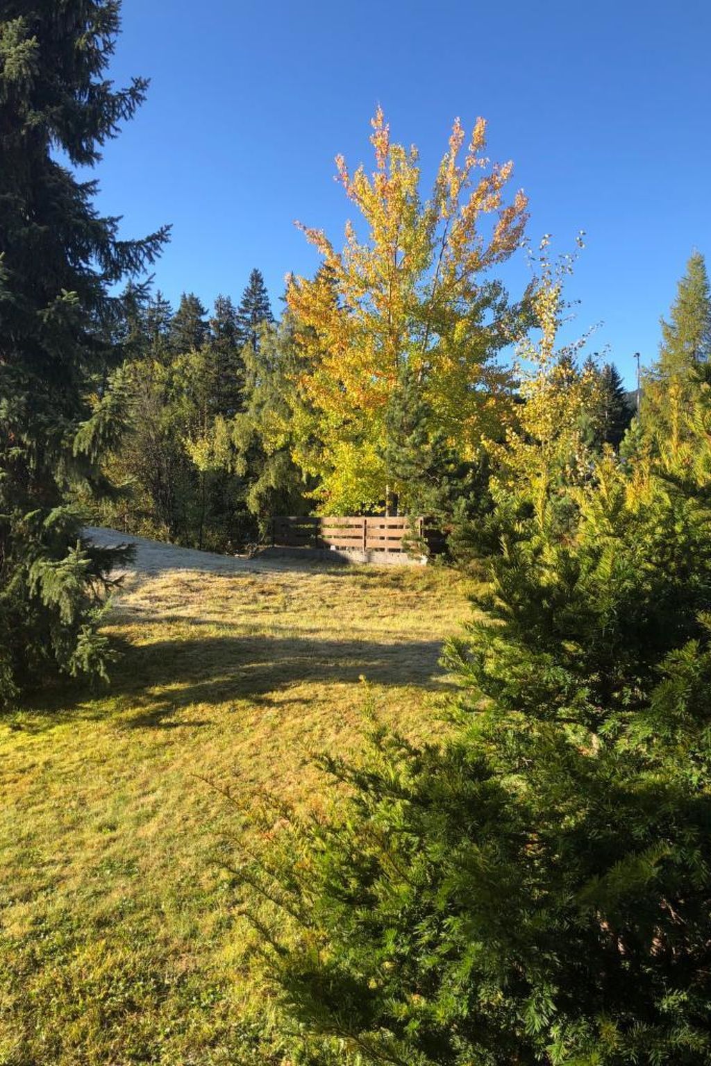 Uehlinger Seegarten Wirz Appartement/Fewo,   Wohnung Seegarten Wirz - Draußen