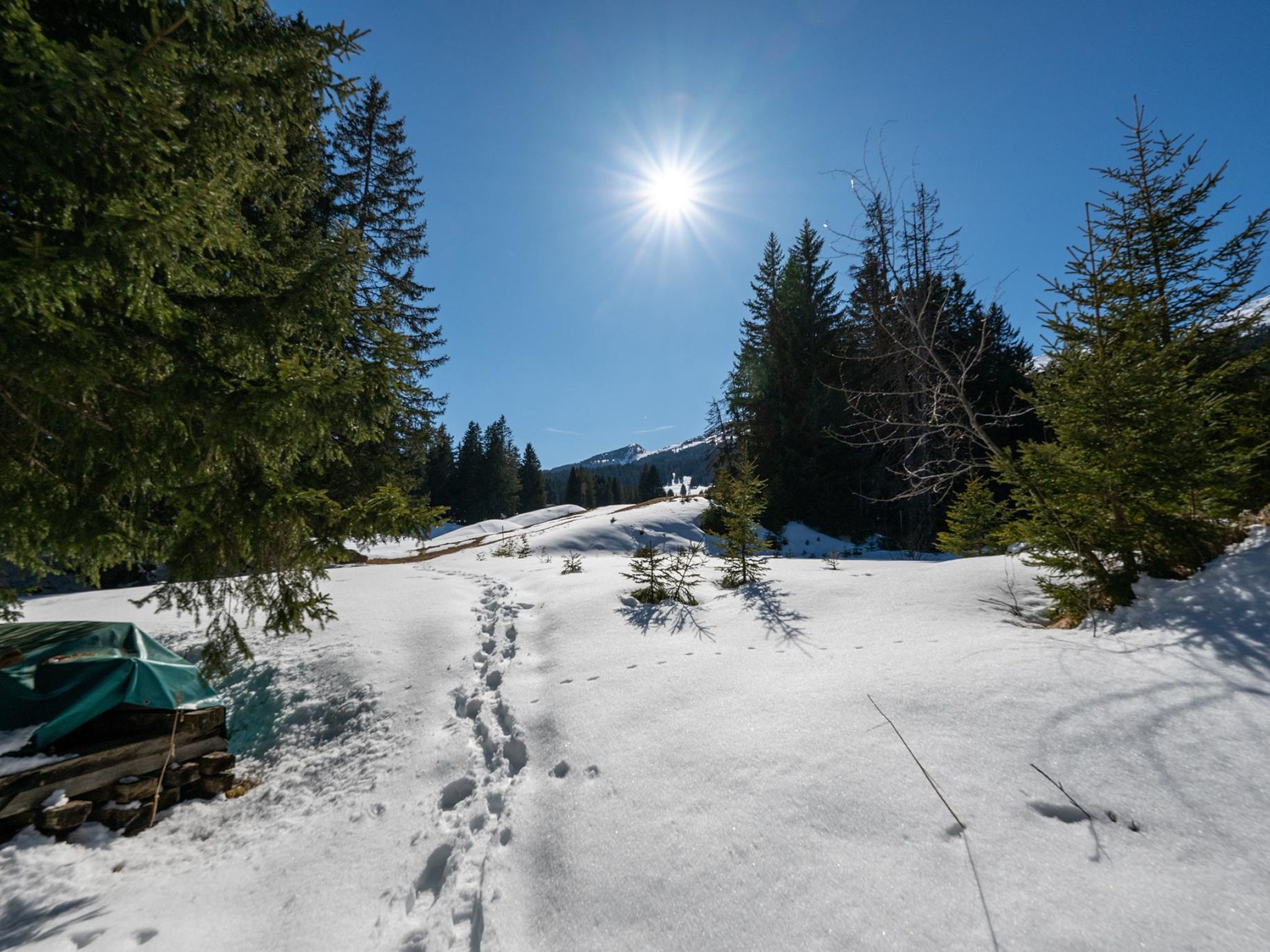 La Riva Mountain Apartment - Binnen