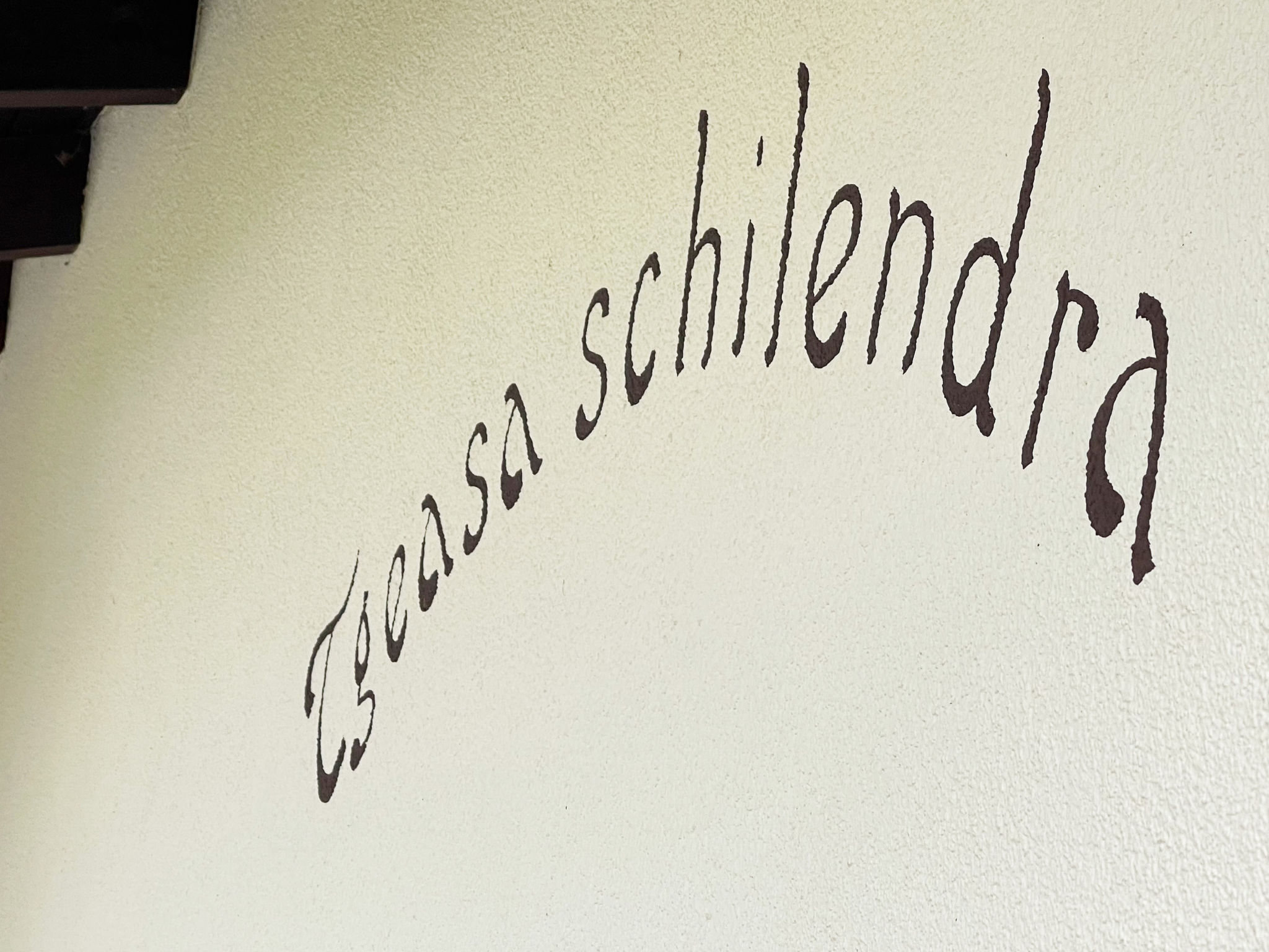1906 Tgeasa Schilendra - Buiten