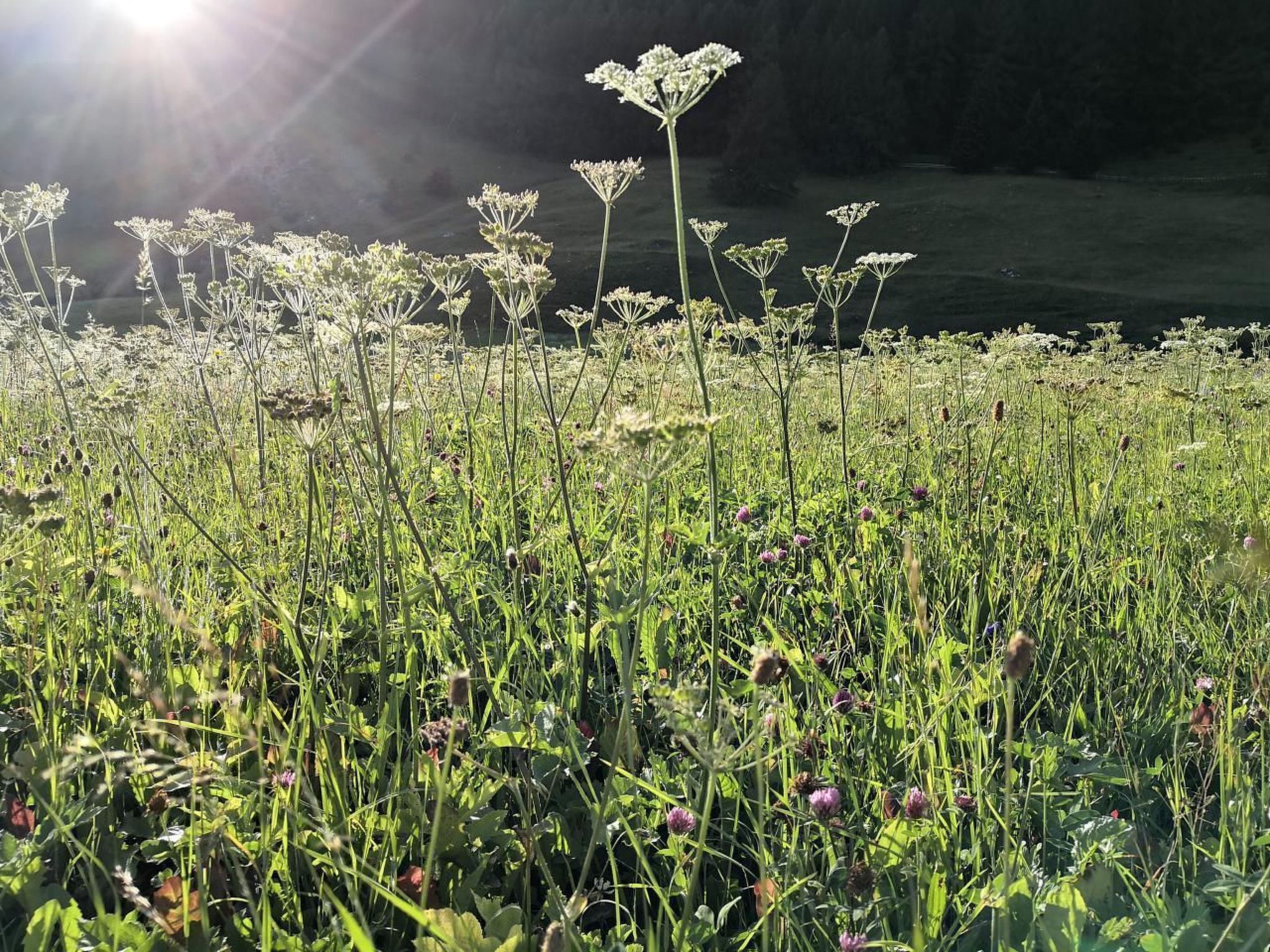 Modernes heimeliges Chalet - Image-tags.info