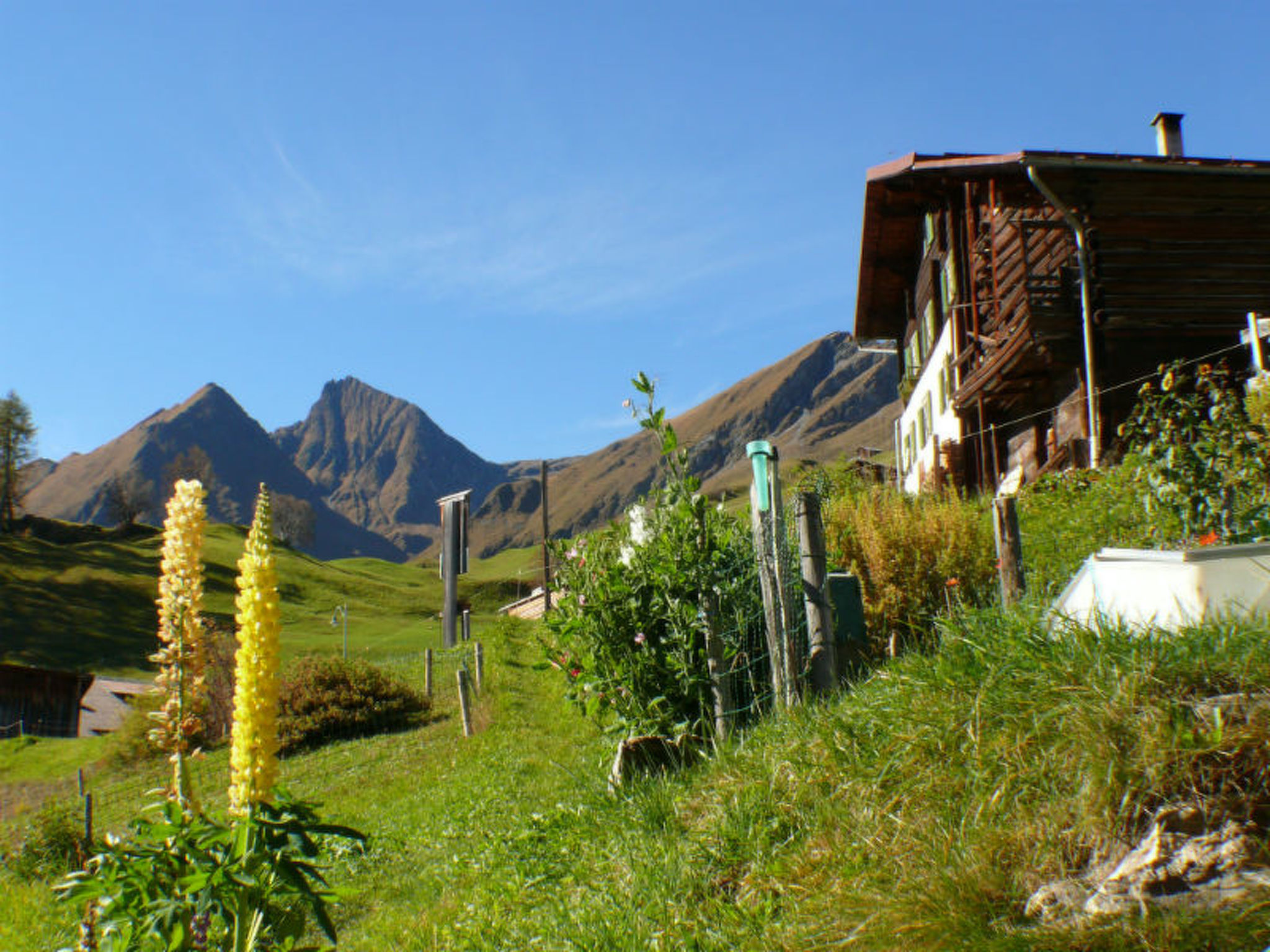 BioHof Casutt, Tenna, (Tenna). - Buiten