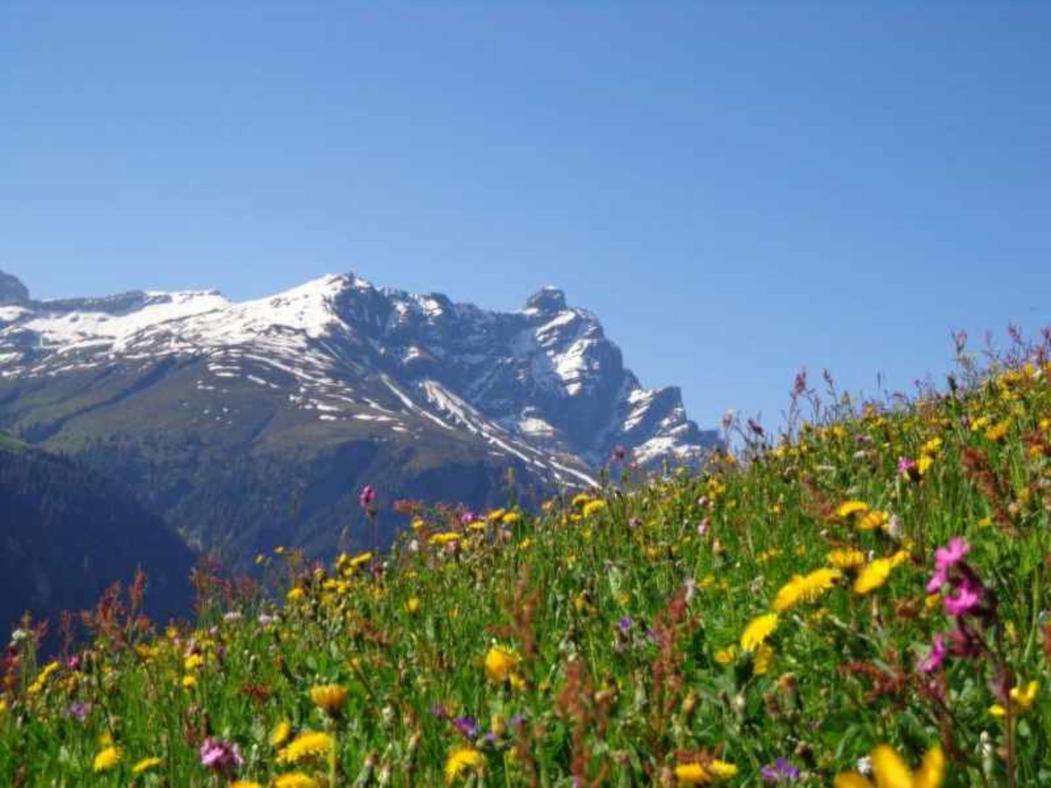 Gün Derungs, Safien-Platz, (Safien Platz). - Image-tags.info