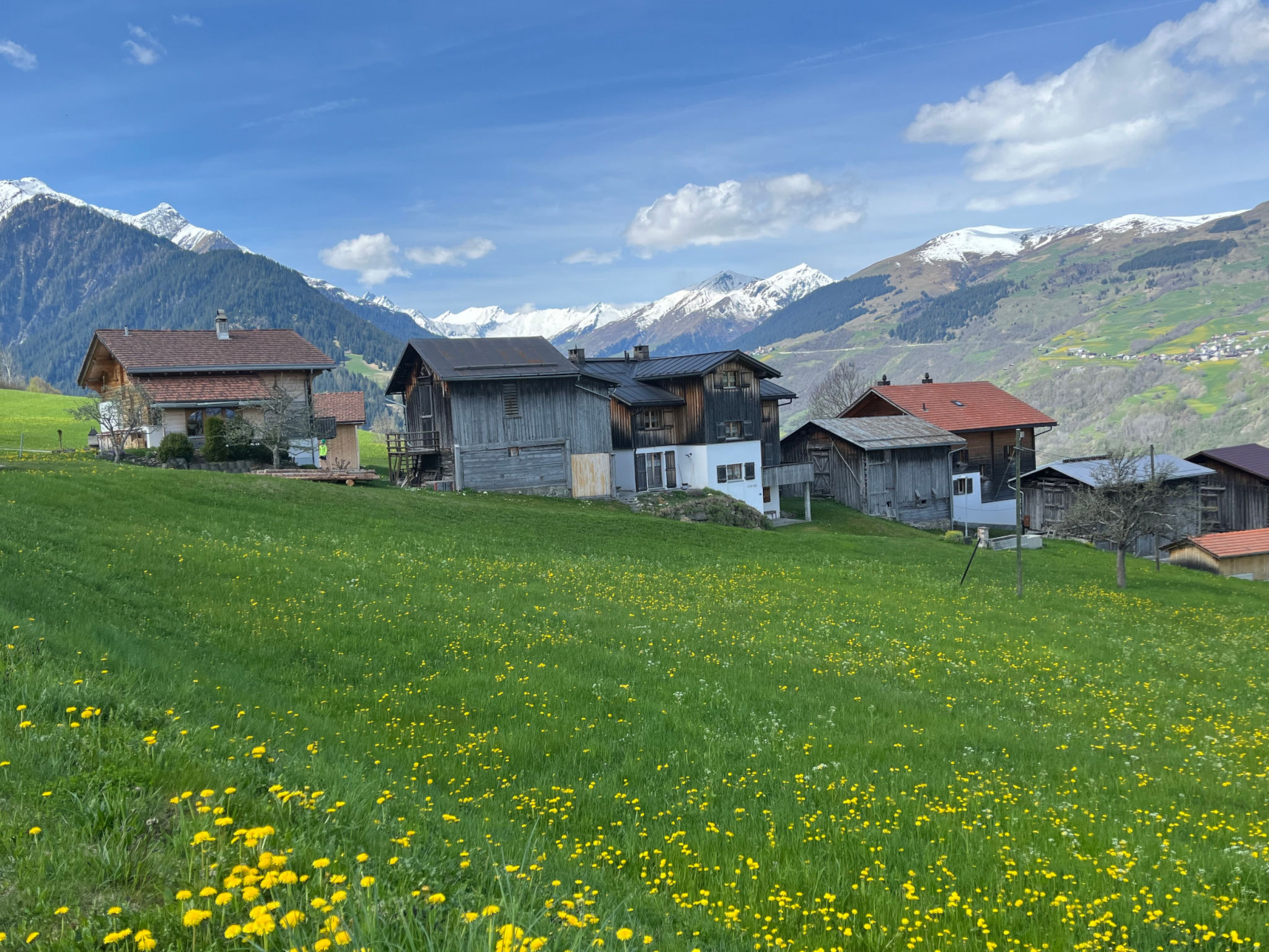 Ferienhaus Runs, Camuns, (Camuns), 13001B - Buiten