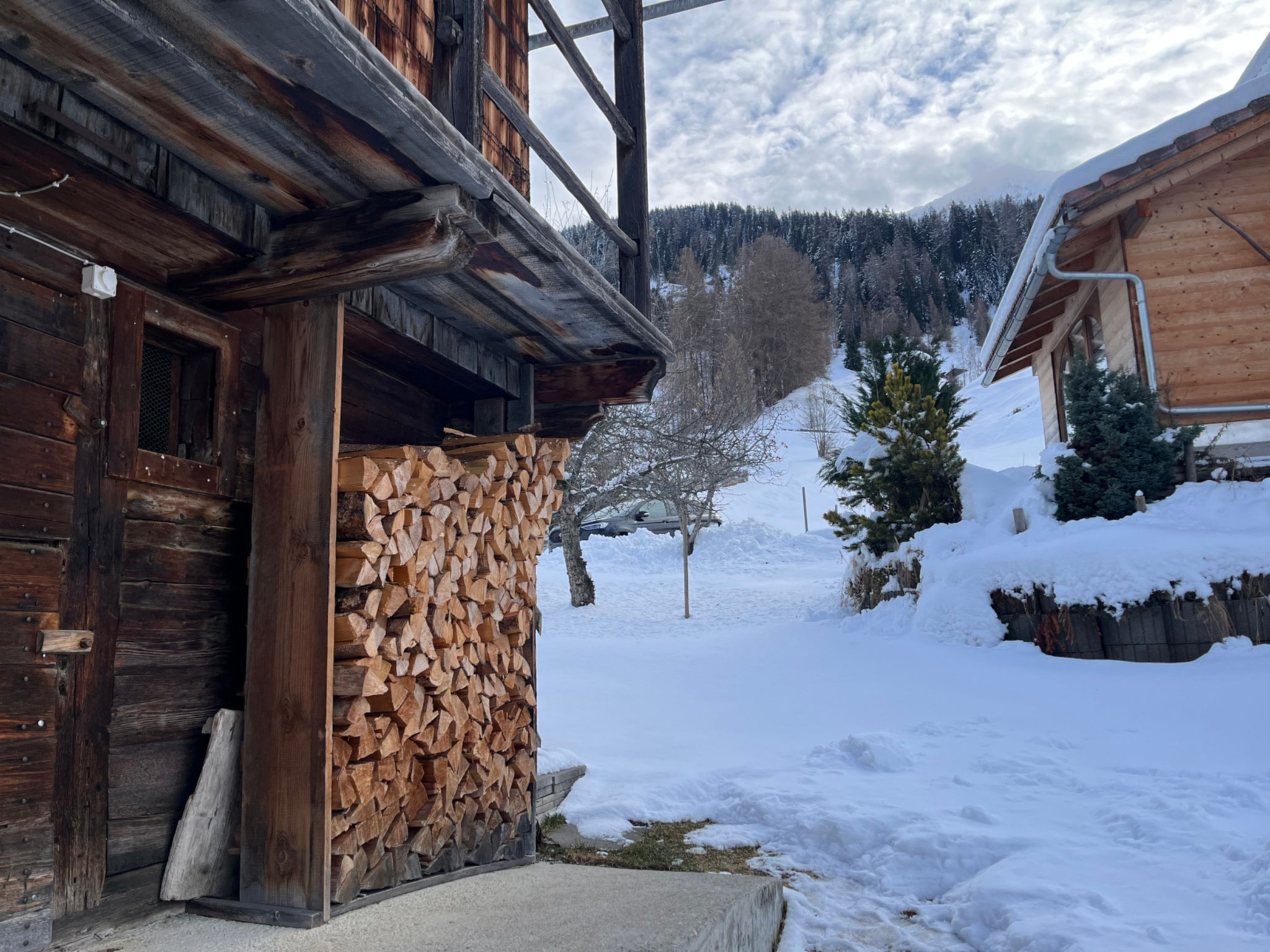 Ferienhaus Runs, Camuns, (Camuns), 13001B - Buiten