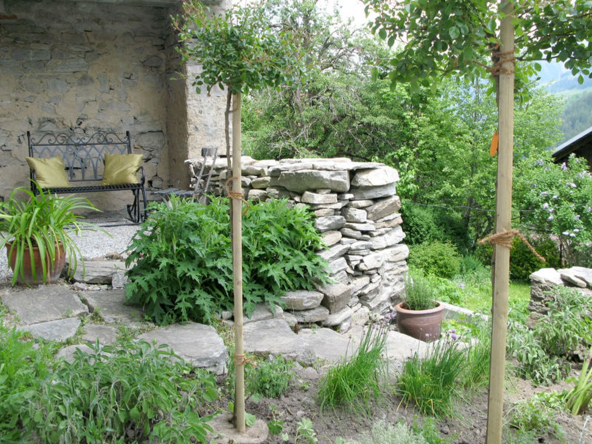 Ferienhaus Altes Pfarrhaus, Surcasti, (Surcasti), 15000B - Buiten