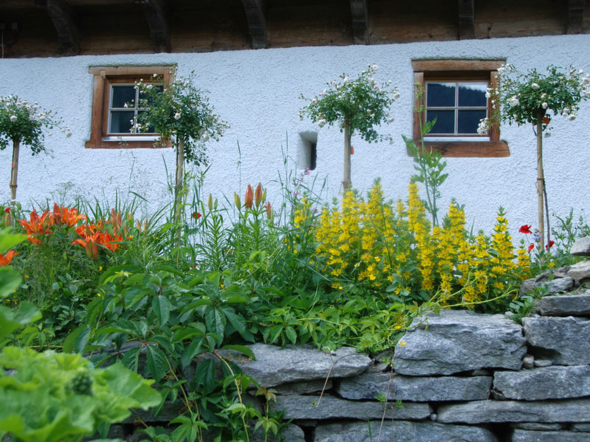 Ferienhaus Altes Pfarrhaus, Surcasti, (Surcasti), 15000B - Buiten