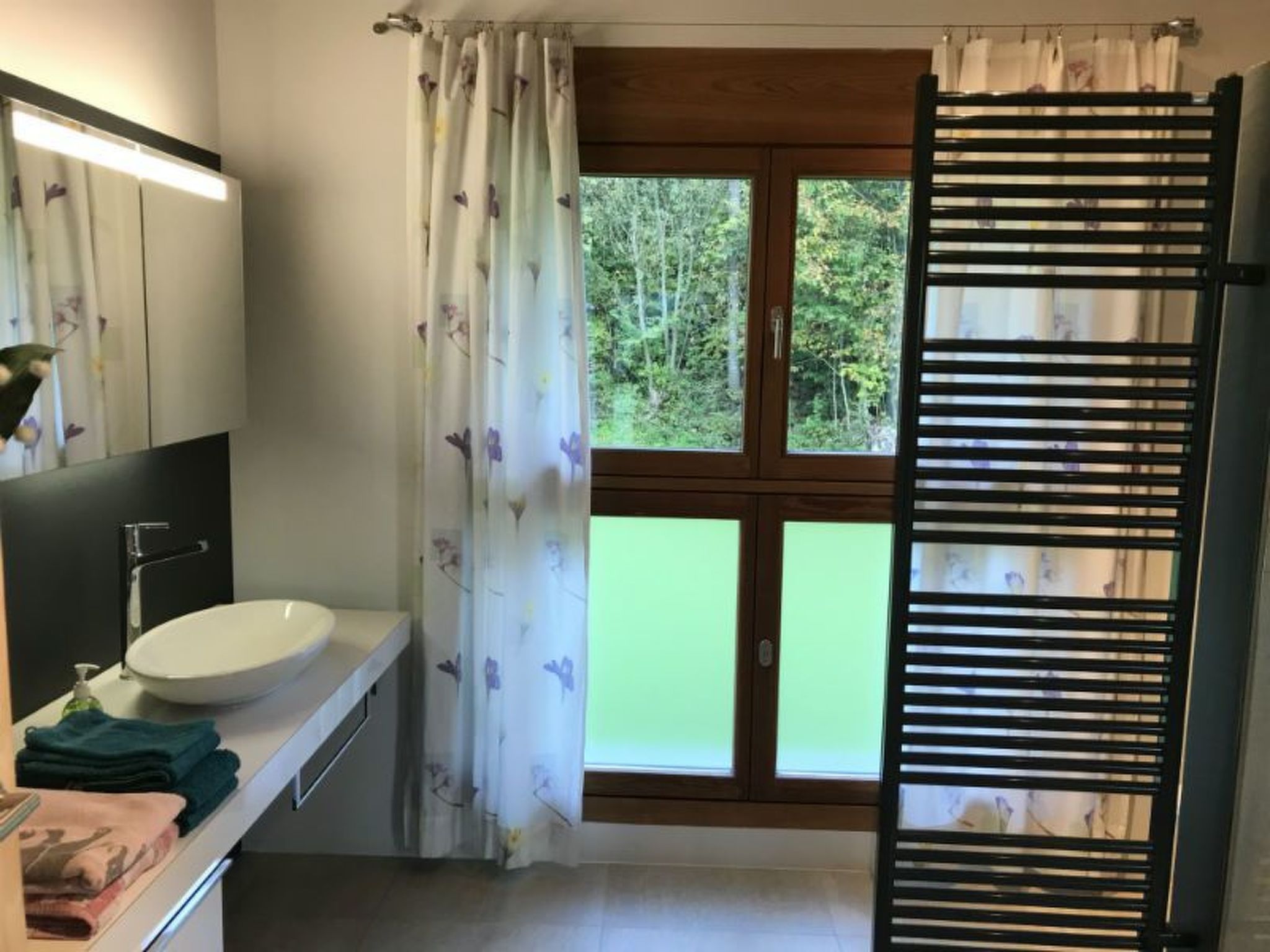 Appartement Ferienhaus Carrera mit Traumgarten, Valendas, (Valendas), 22007B – Salle de bains, photo 12 sur 34