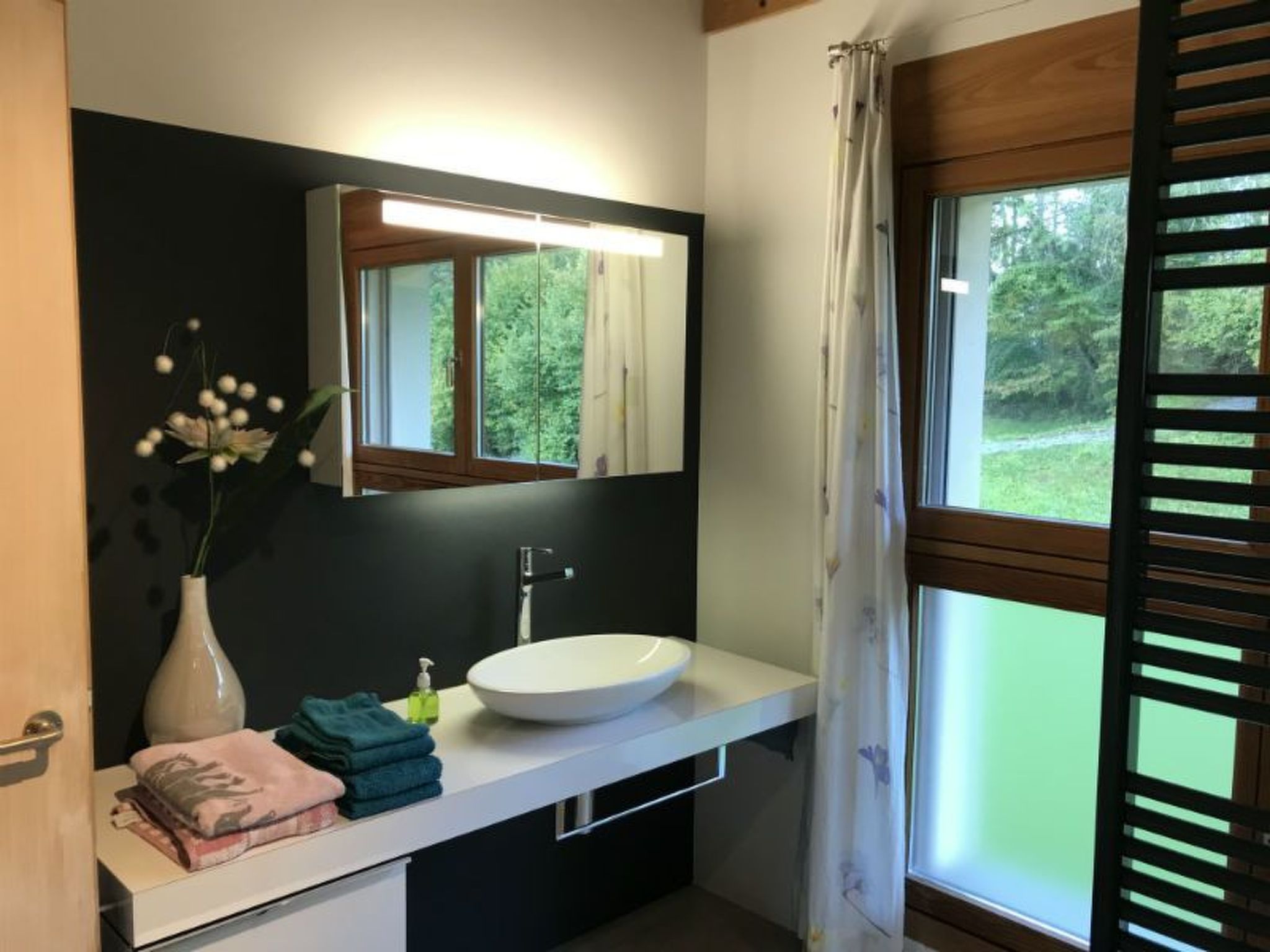 Appartement Ferienhaus Carrera mit Traumgarten, Valendas, (Valendas), 22007B – Salle de bains, photo 11 sur 34