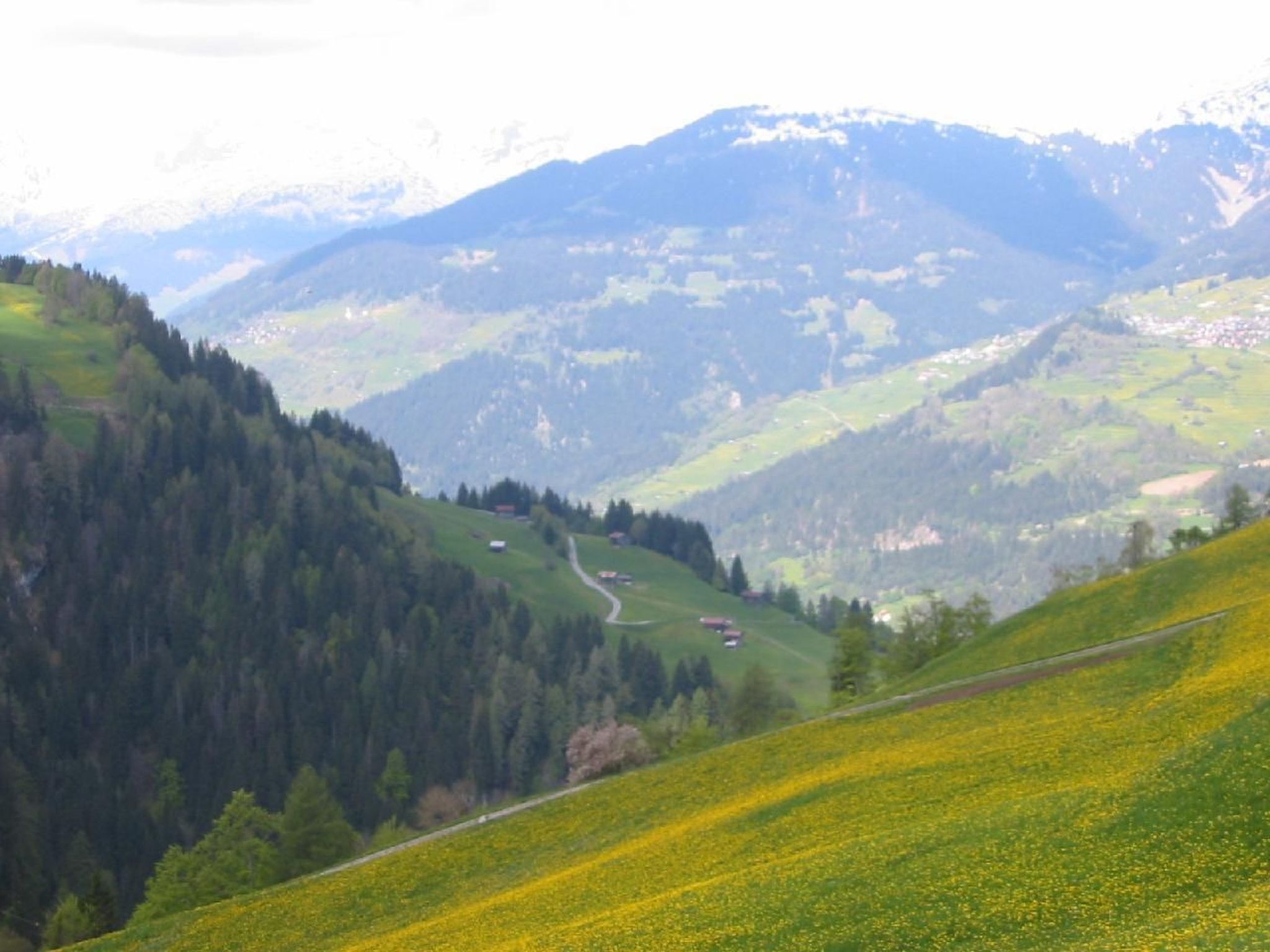 Altes Walserhaus-Image-tags.info