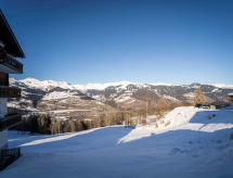Knus chalet aan de skipiste met uitzicht op de Zwitserse bergen - thumbnail 5