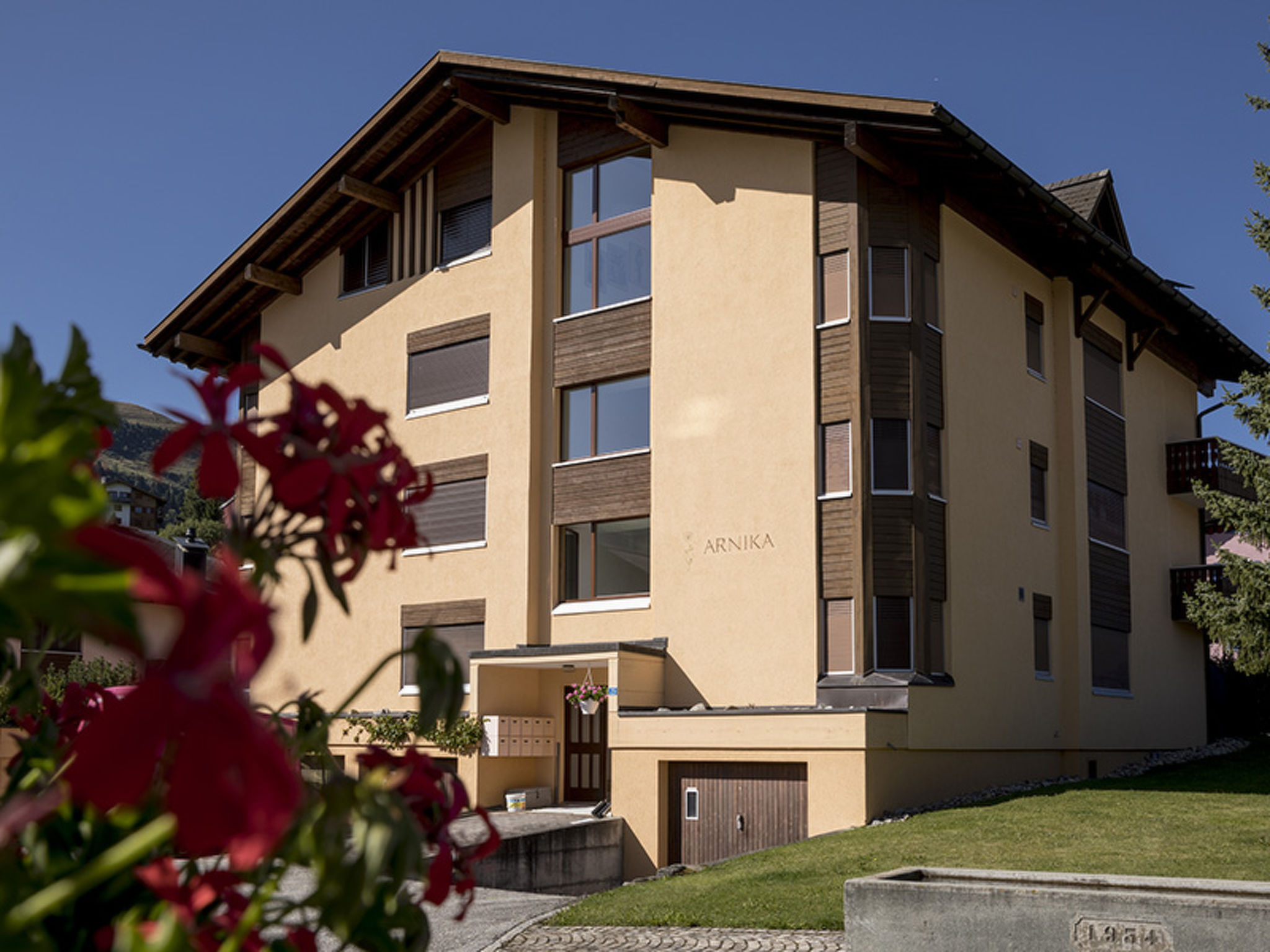 Arnika Kornmayer, Obersaxen-Affeier, (Obersaxen), 34001B