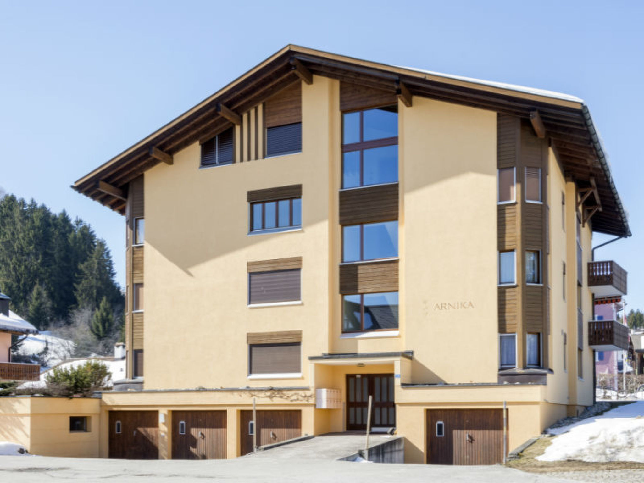 Arnika Kornmayer, Obersaxen-Affeier, (Obersaxen), 34001B - Buiten