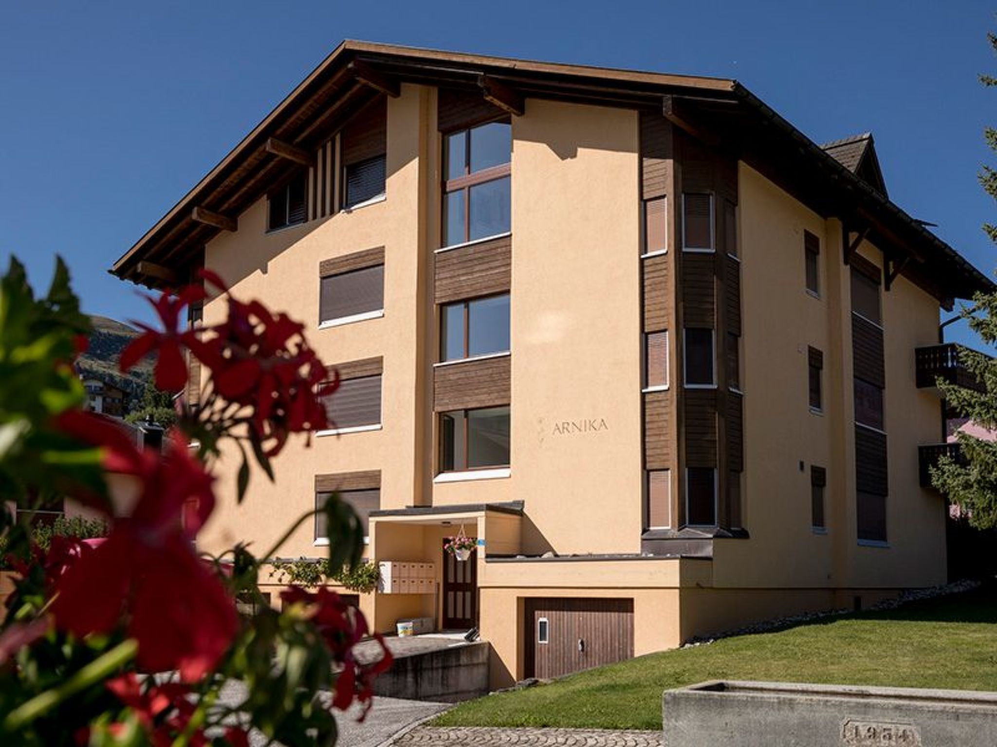 Arnika Kornmayer, Obersaxen-Affeier, (Obersaxen), 34001B