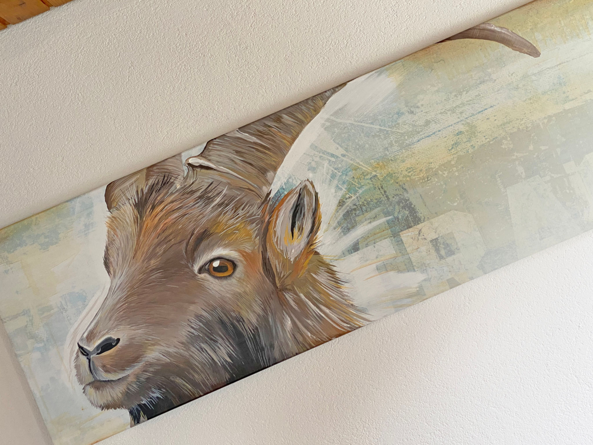 Casa Radieni, Flond, (Flond). - Buiten