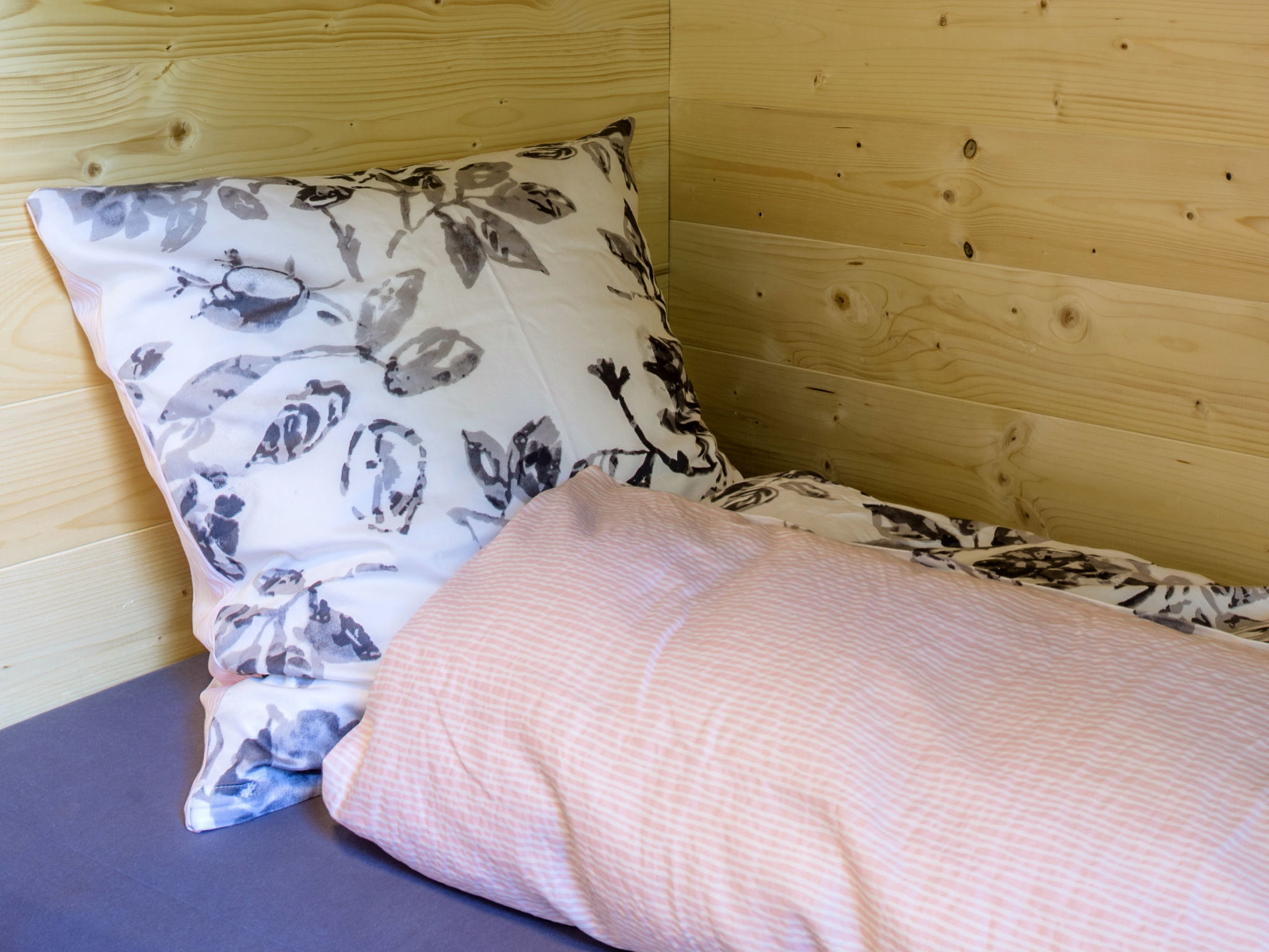 Regan, Obersaxen-Valata, (Surcuolm). - Binnen