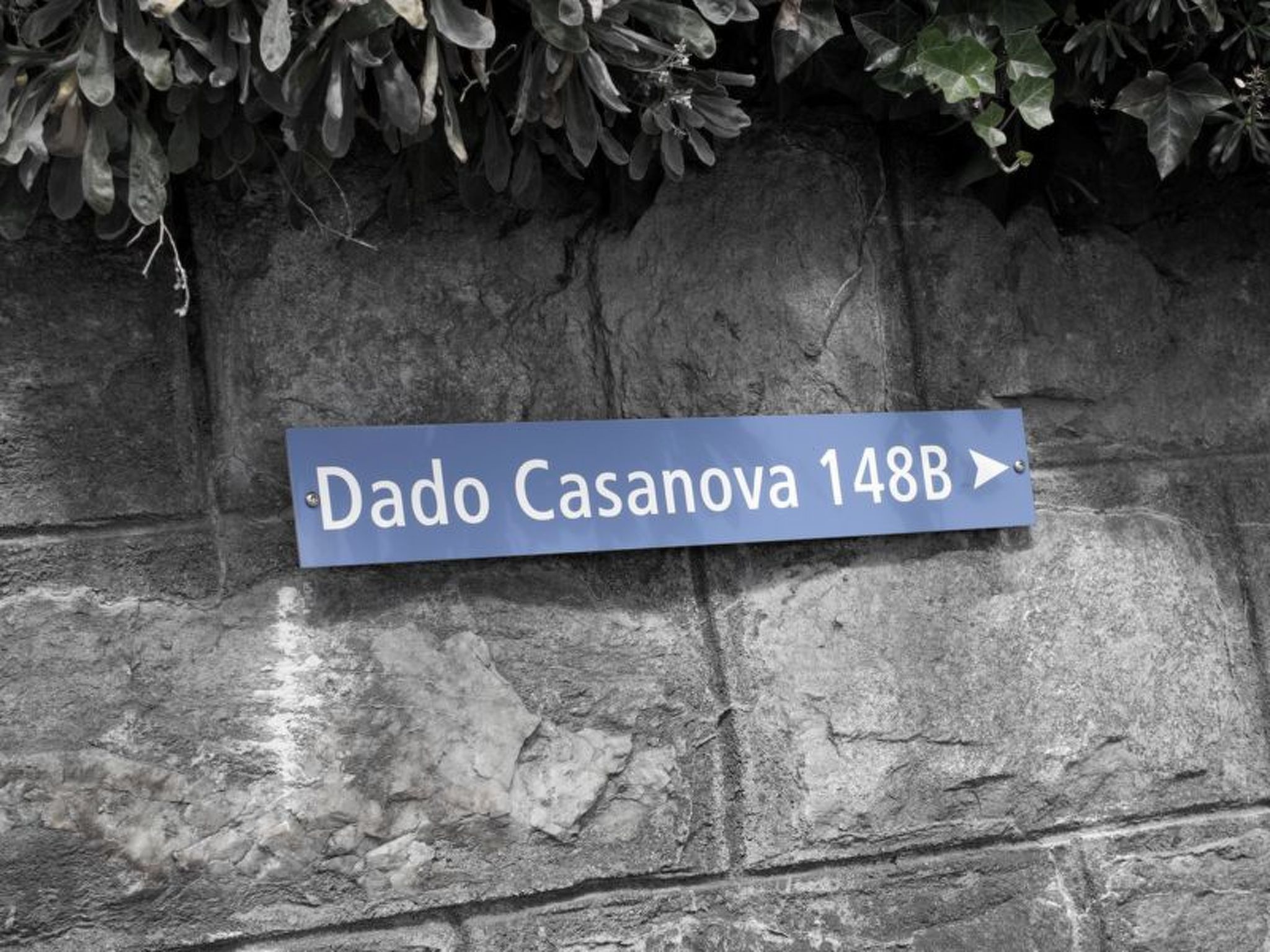 Dado Casanova, Cumbel, (Cumbel), 42006B
