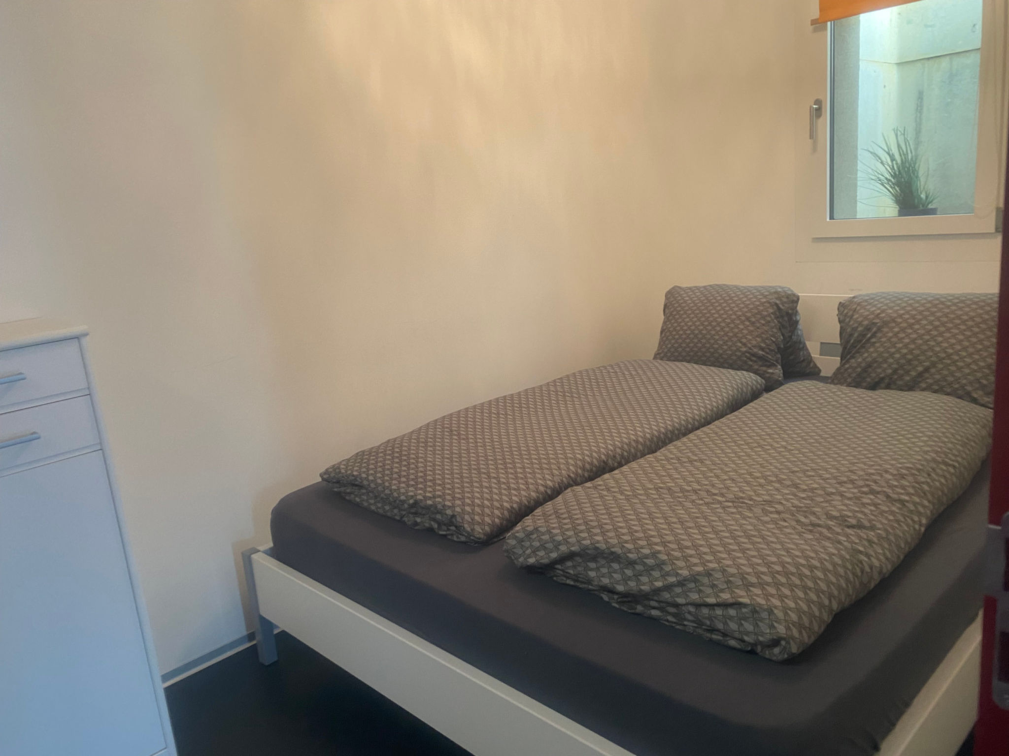 Denter Uauls Tanno, Vella, (Vella). - Binnen