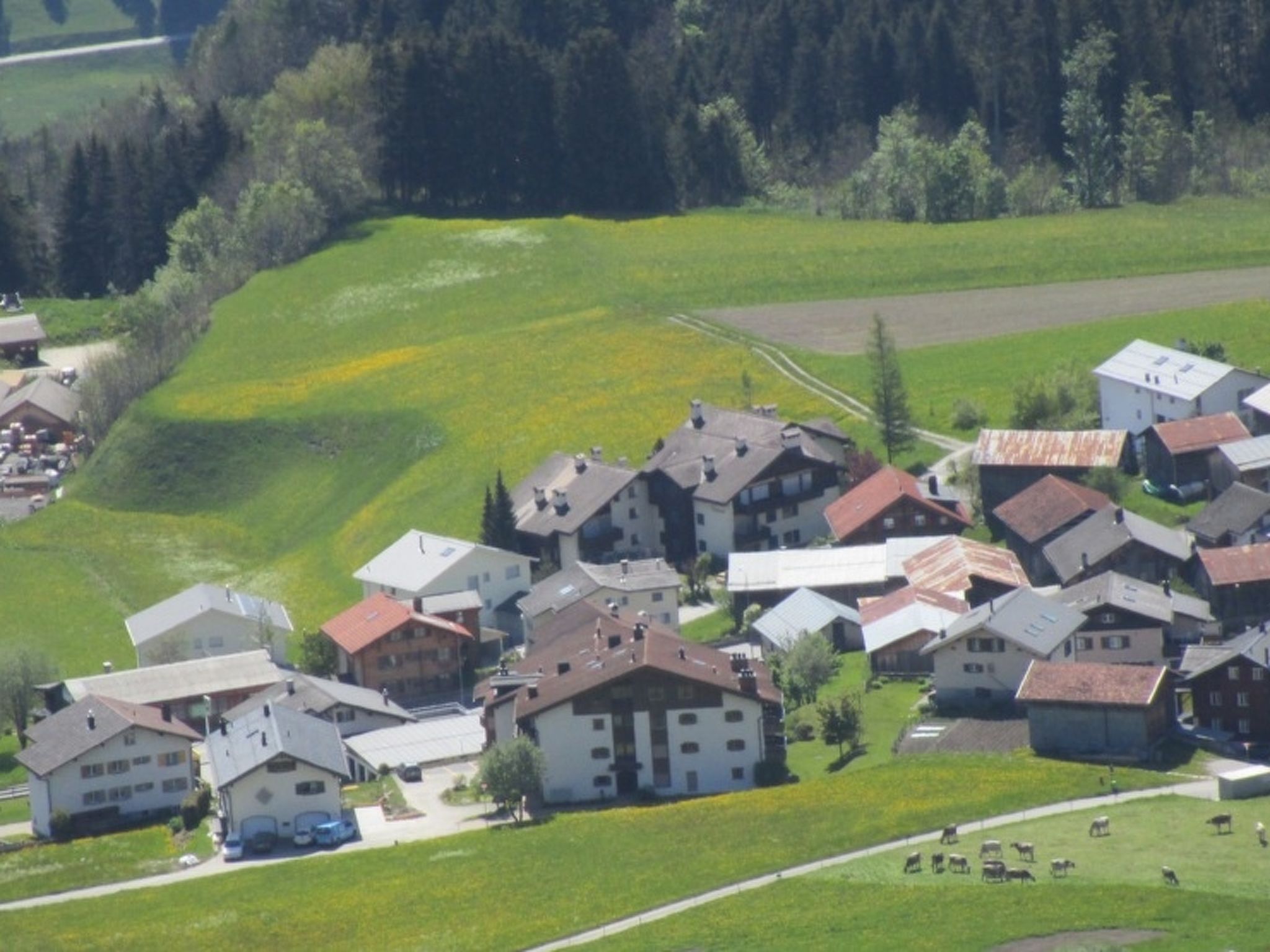 Davos Caplan Ledermann, Vella, (Vella). - Buiten