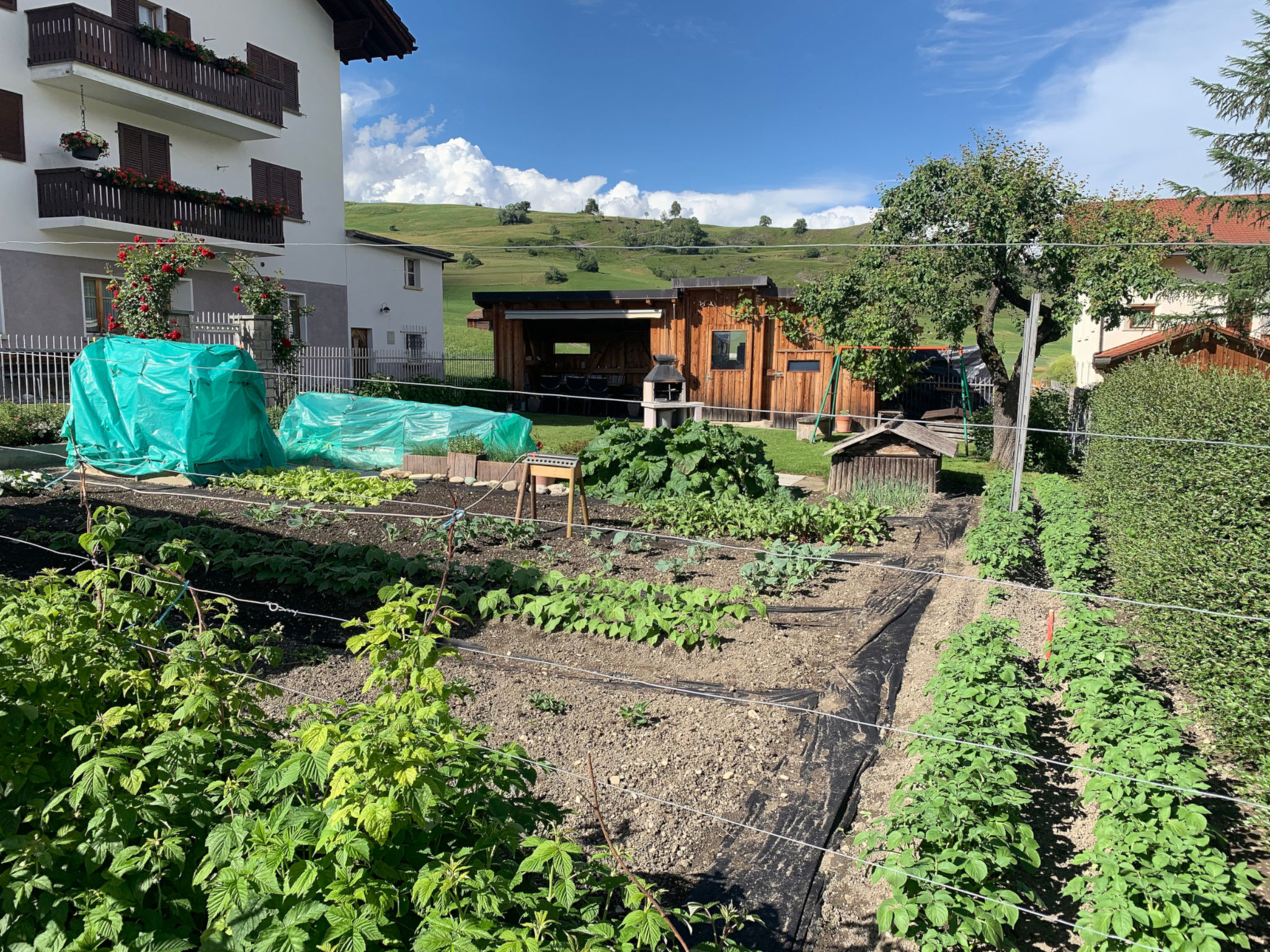 Quadra Rohner, Degen, (Degen). - Buiten