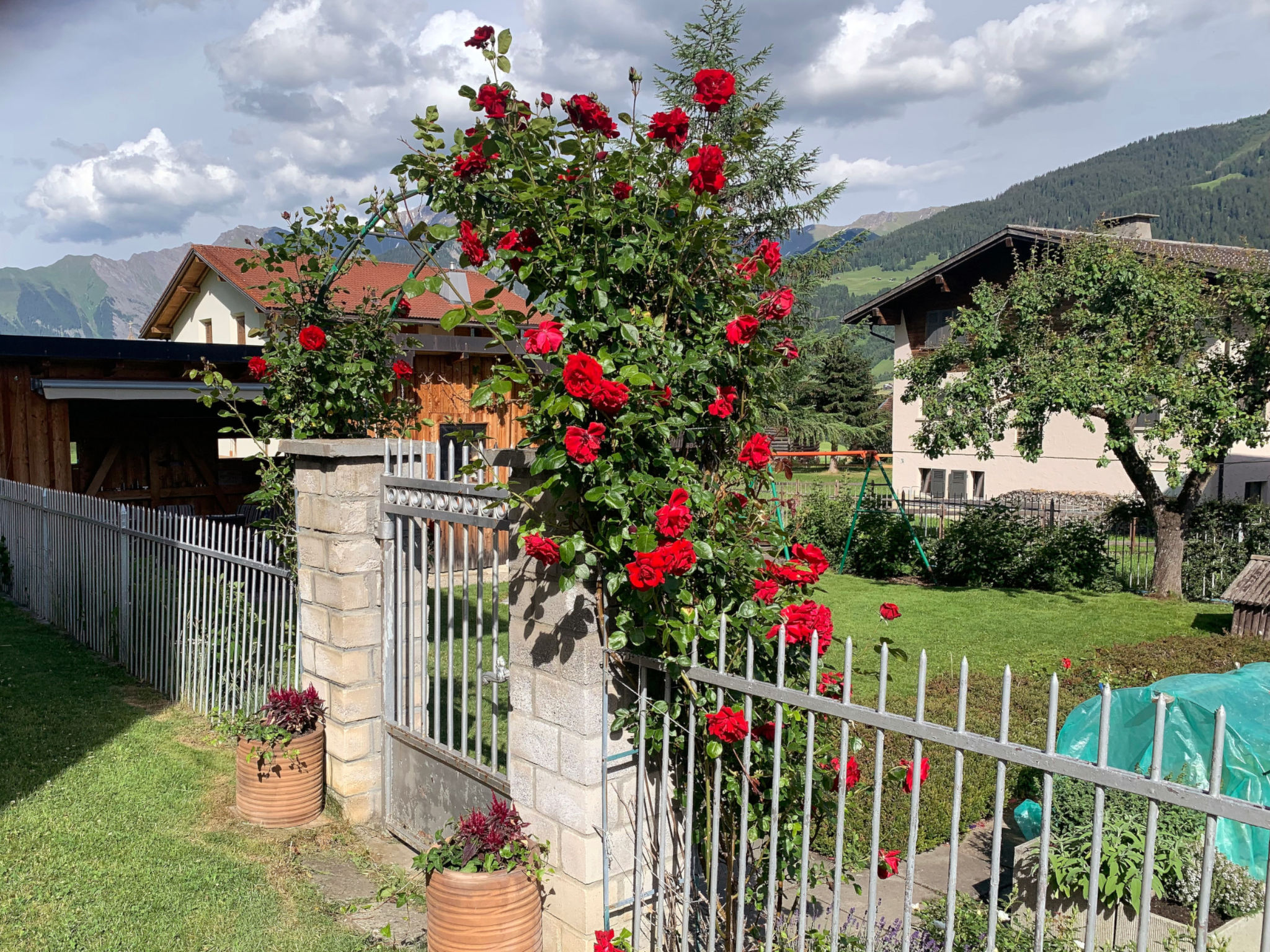 Quadra Rohner, Degen, (Degen). - Buiten