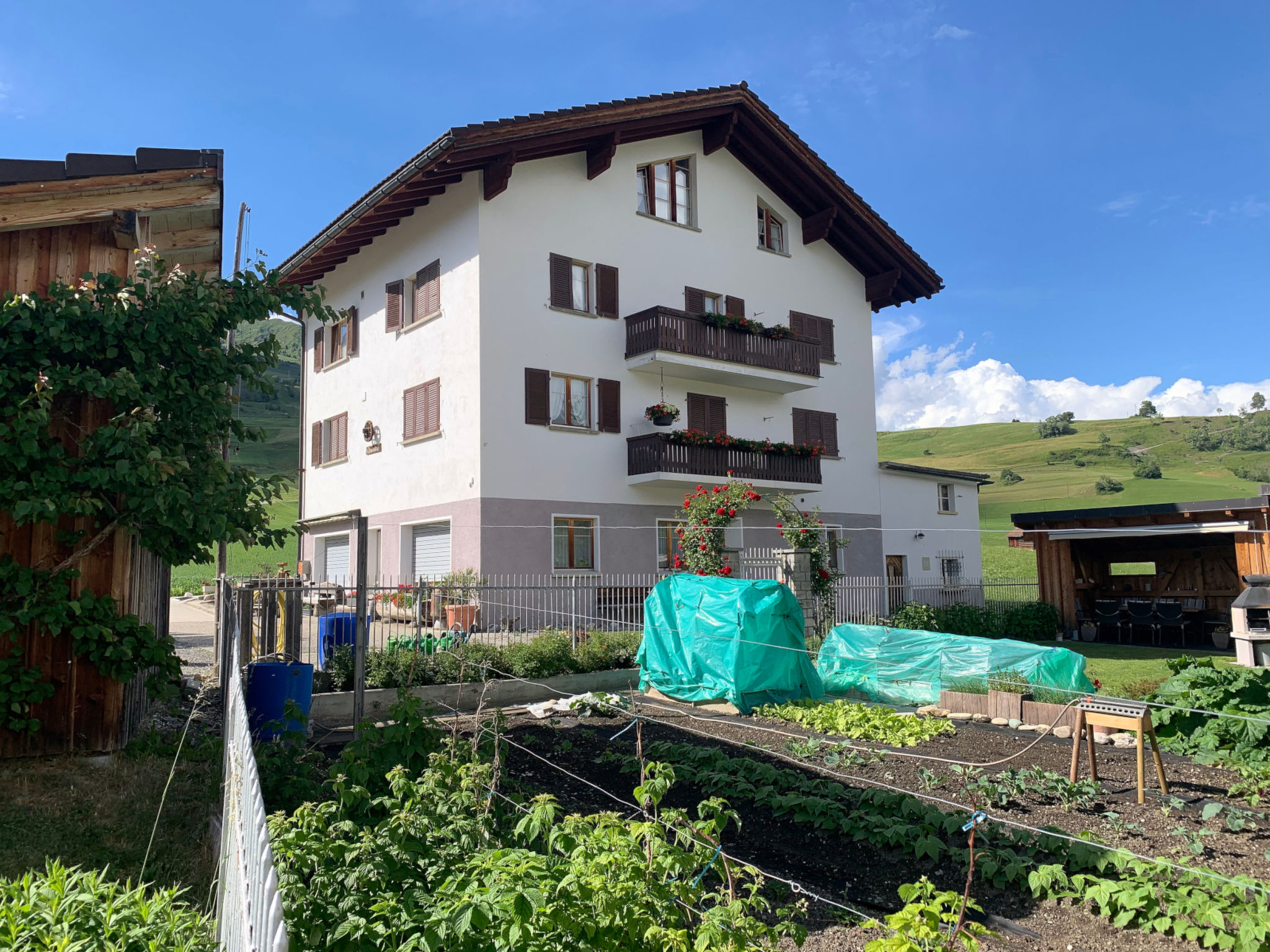 Quadra Rohner, Degen, (Degen). - Image-tags.info