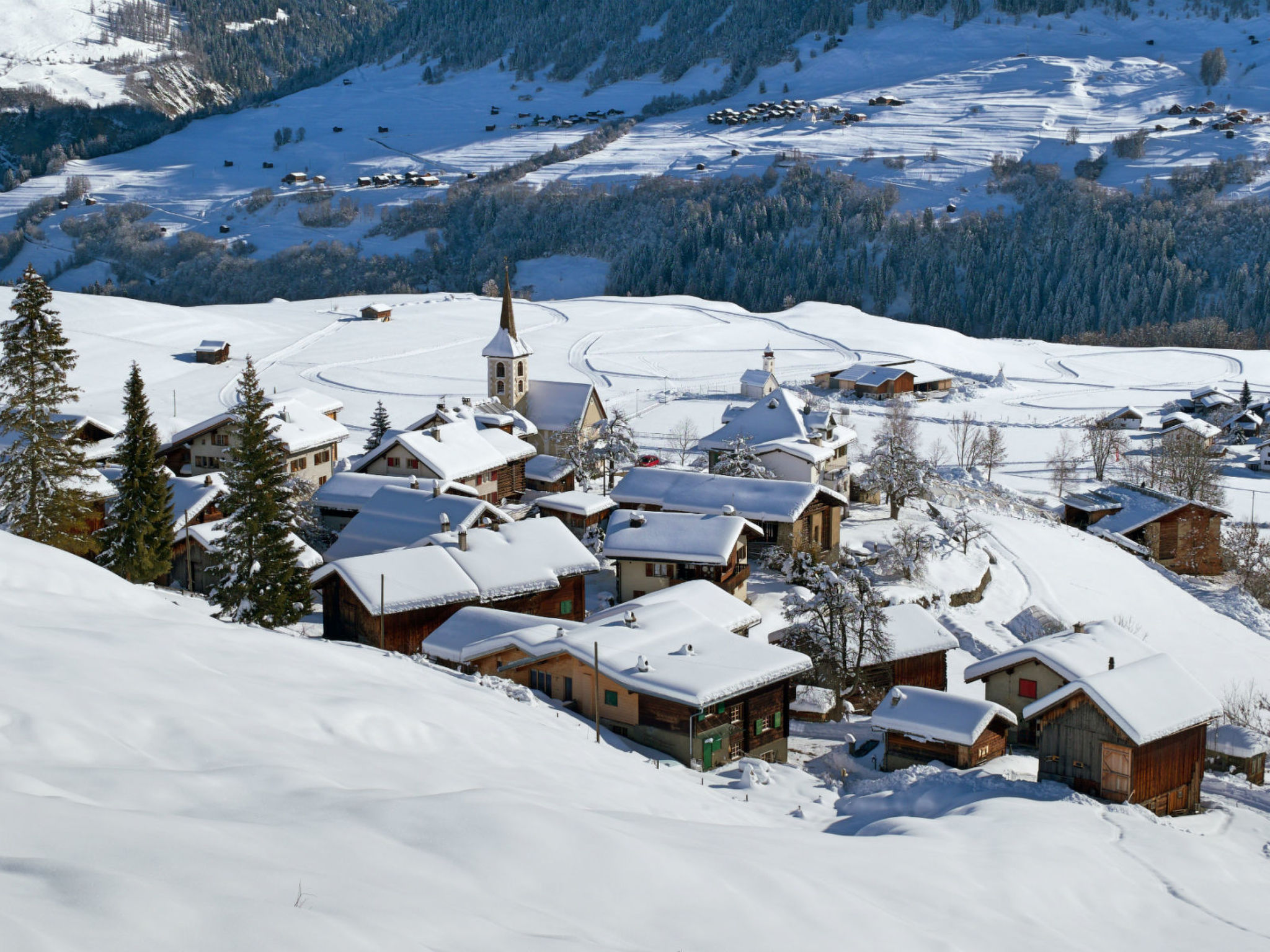 Venini, Rumein, (Degen). - Image-tags.info