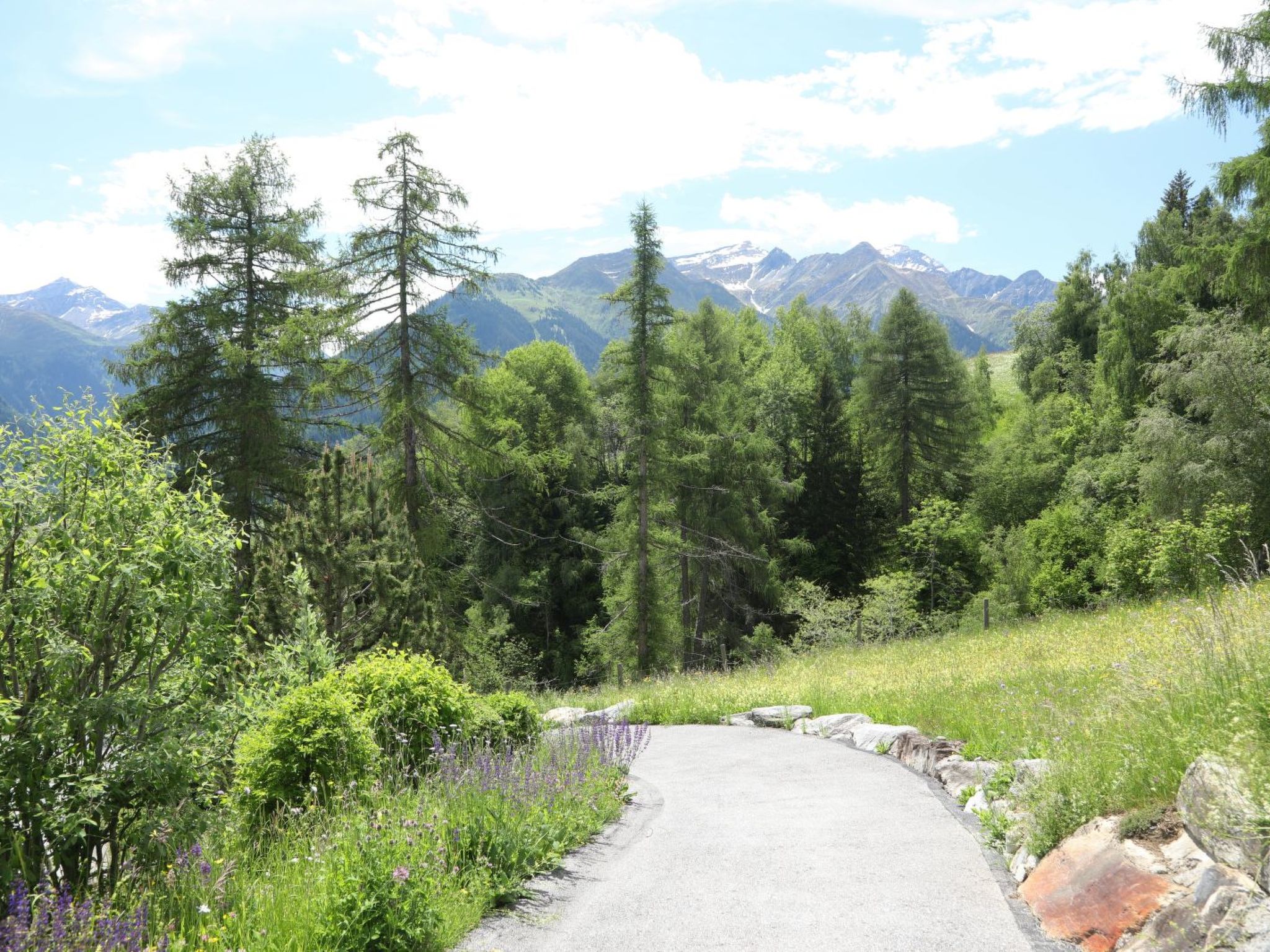 Davos Munts, Vattiz, (Vattiz). - Buiten