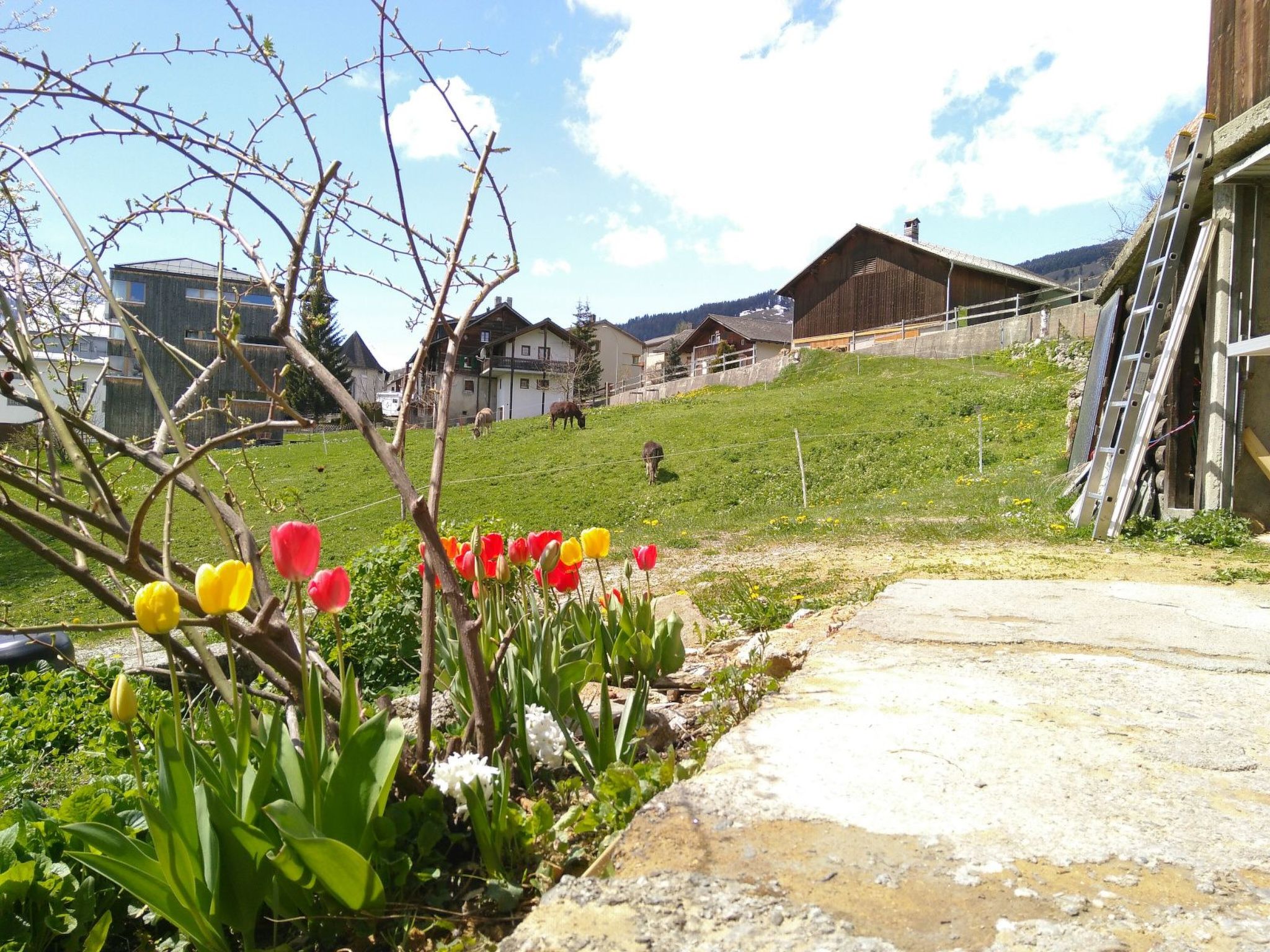 Appartement Ferienhaus Stoffel, Vignogn, (Vignogn), 47004B – Extérieur de la maison, photo 25 sur 28