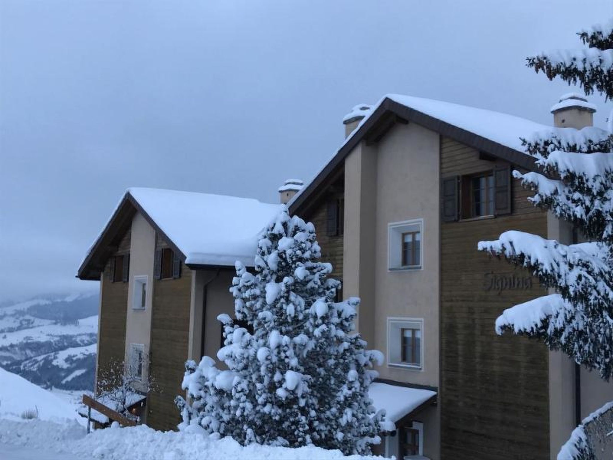 Signina Brun, Lumbrein, (Lumbrein), 48007B - Buiten