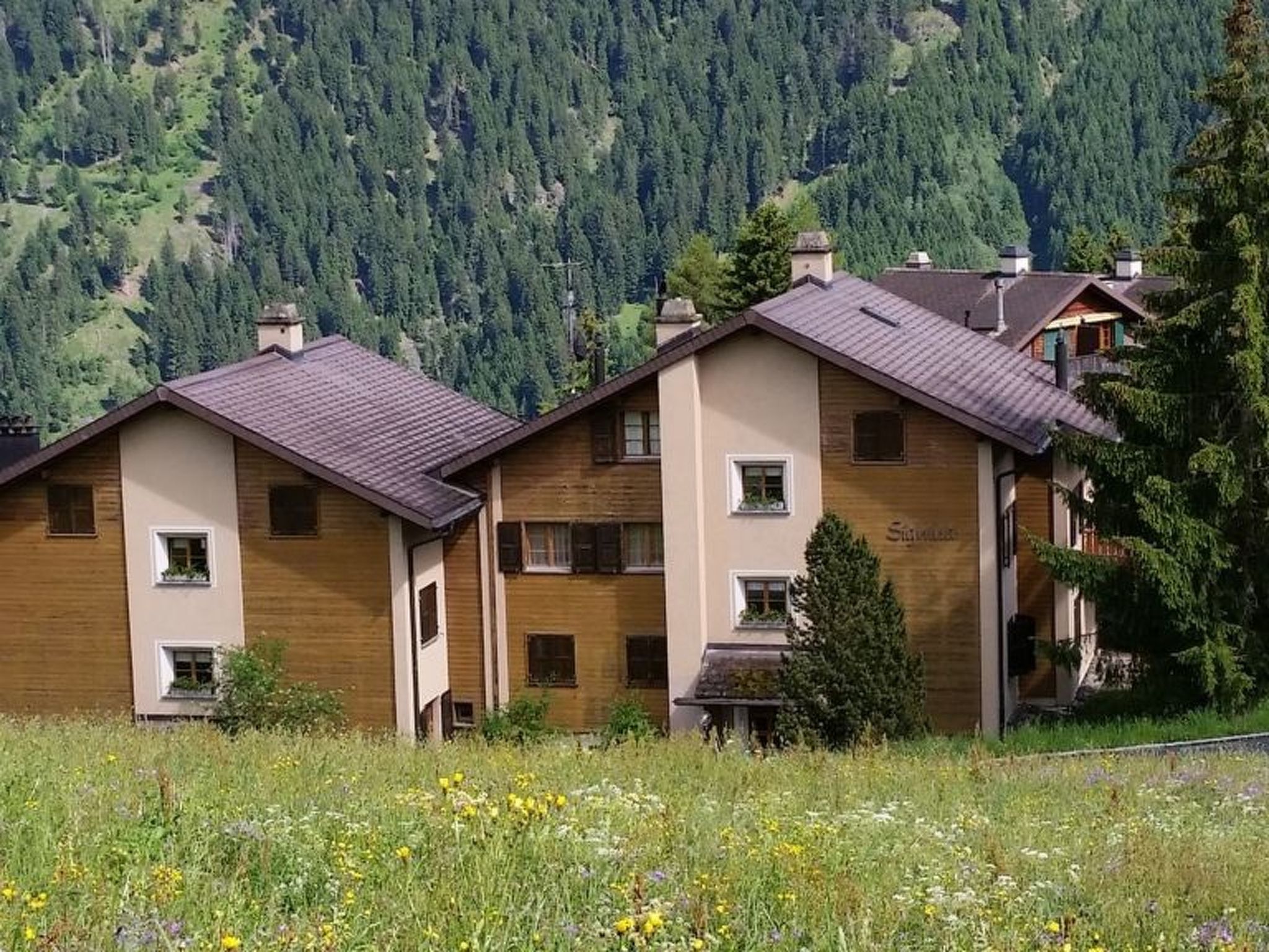 Signina Brun, Lumbrein, (Lumbrein), 48007B
