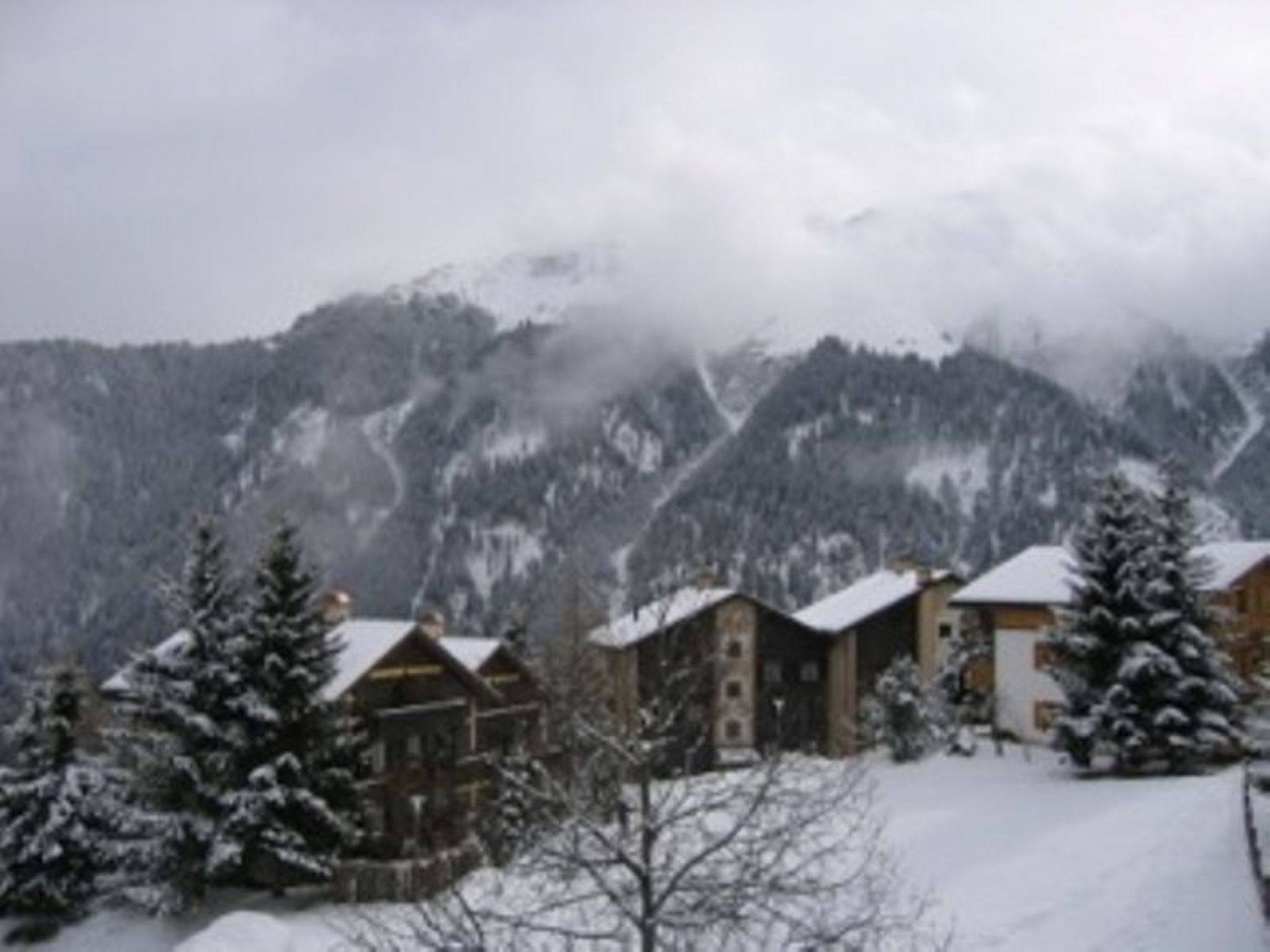 Signina Brun, Lumbrein, (Lumbrein), 48007B