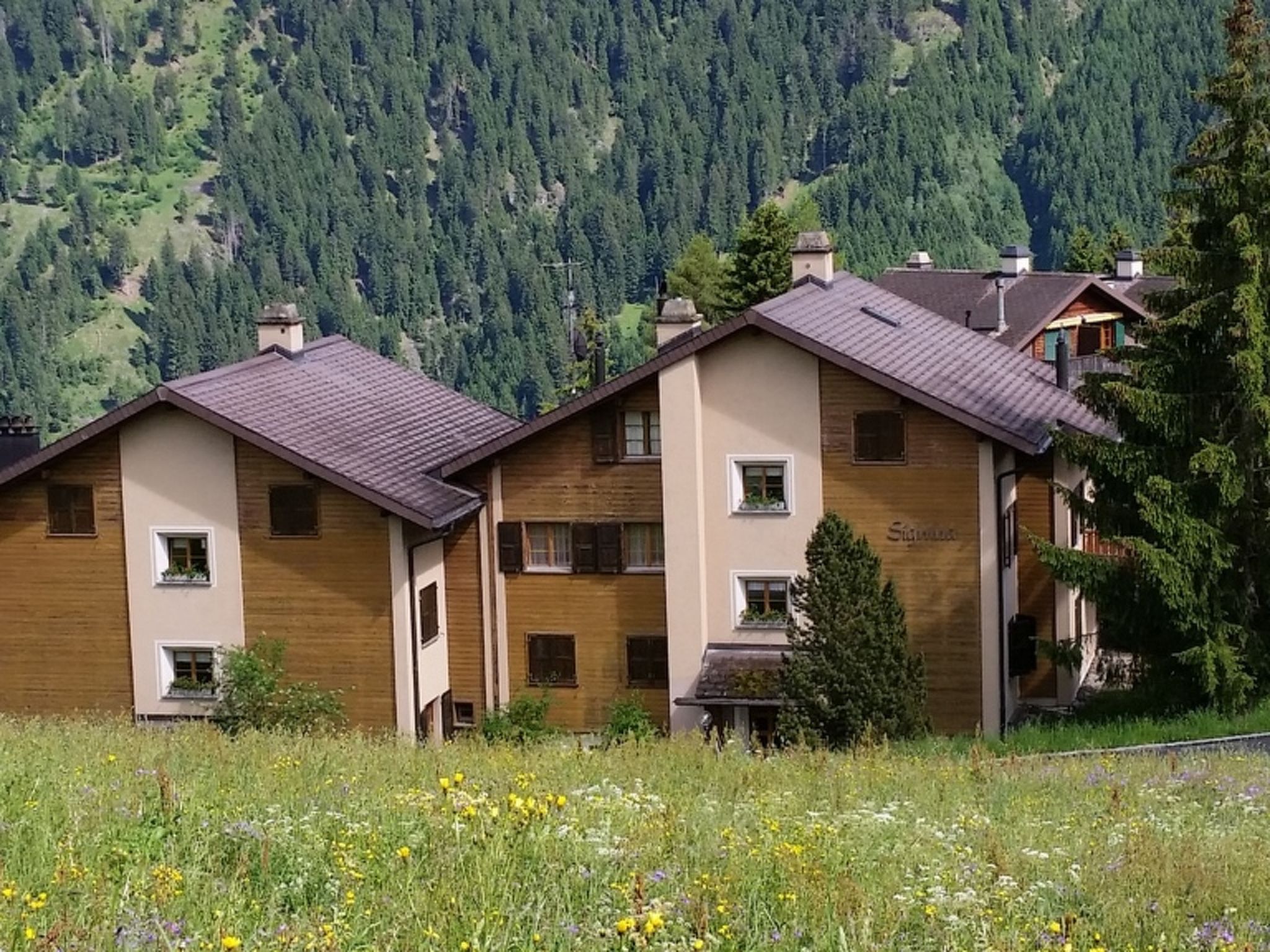 Signina Brun, Lumbrein, (Lumbrein).