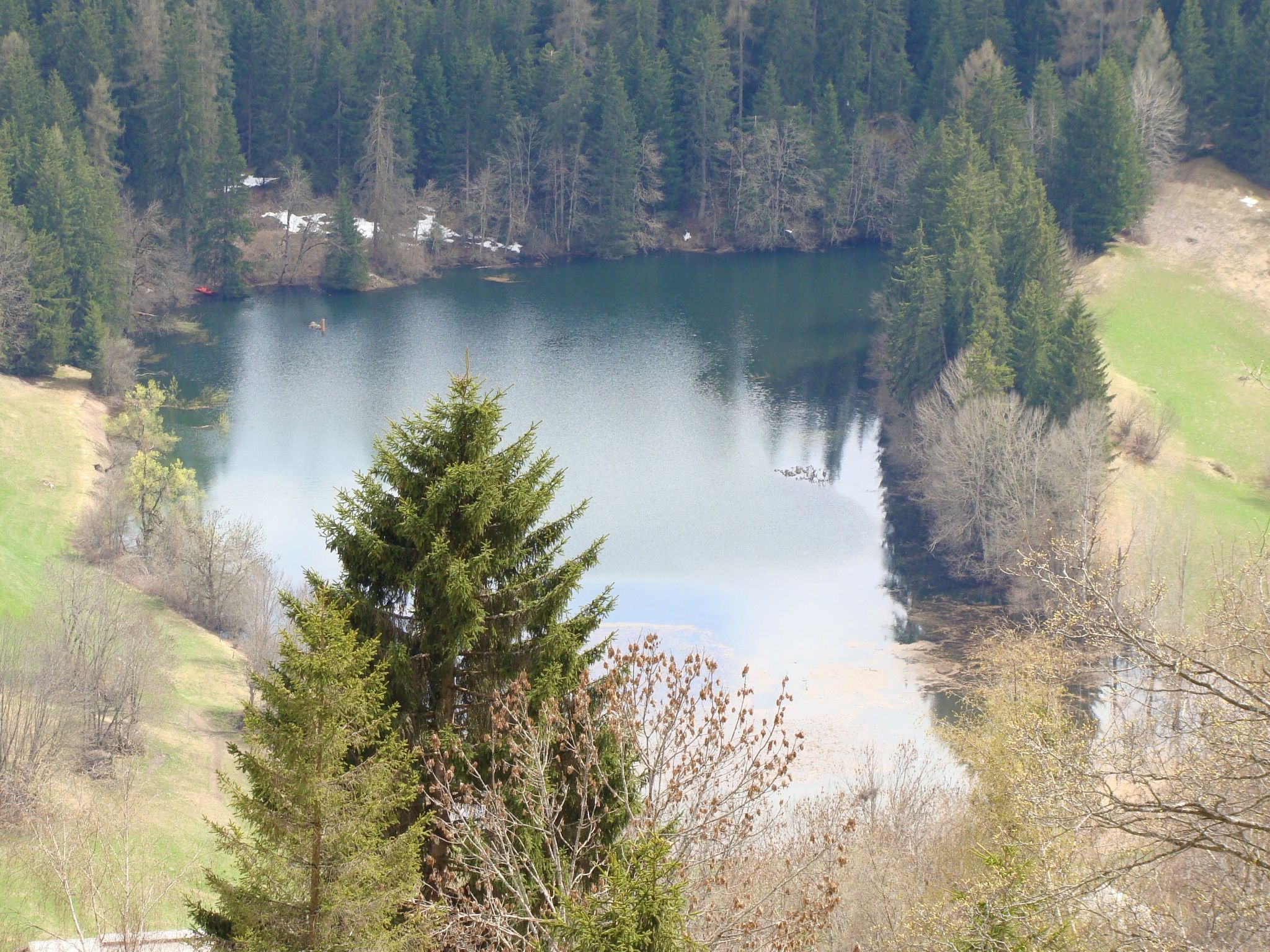 Nies Gagliner, (Falera). 2.5 Zimmerwohnung Falera, Nies Gagliner - Buiten