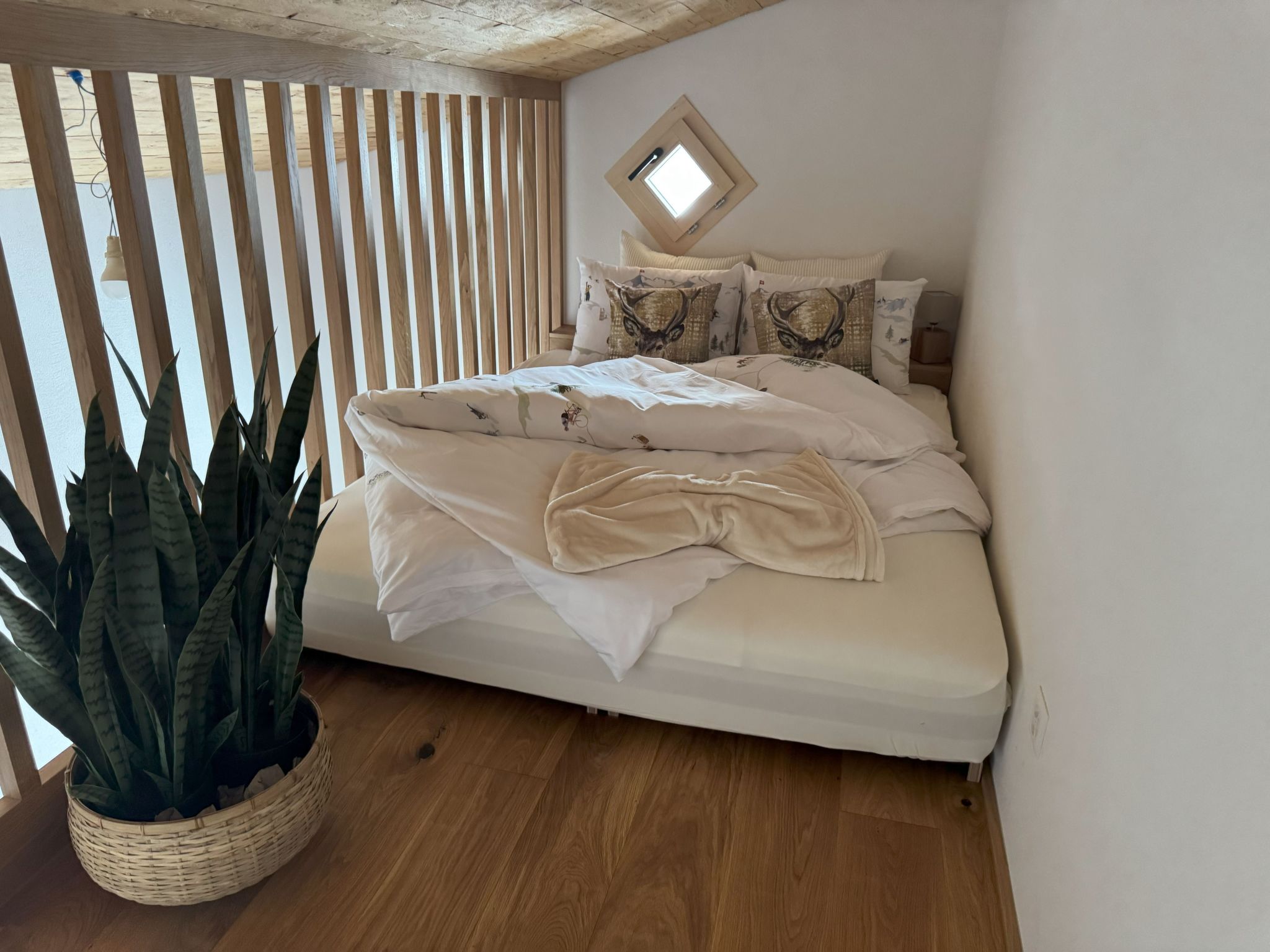 Casa Ladina 4-Image-tags.info