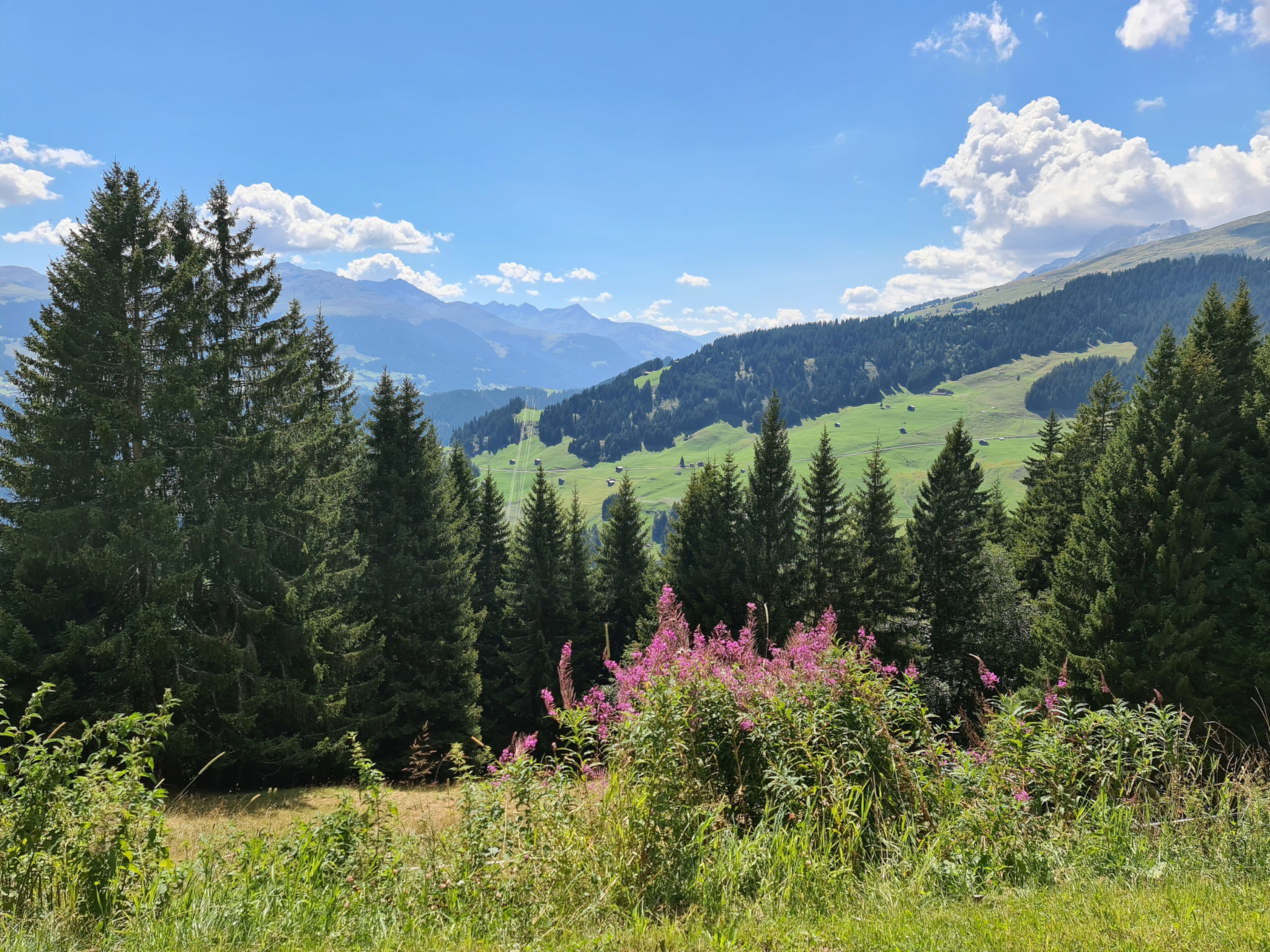 Maiensäss Tegia Cucagna, Rueun, (Rueun), 56001B - Buiten