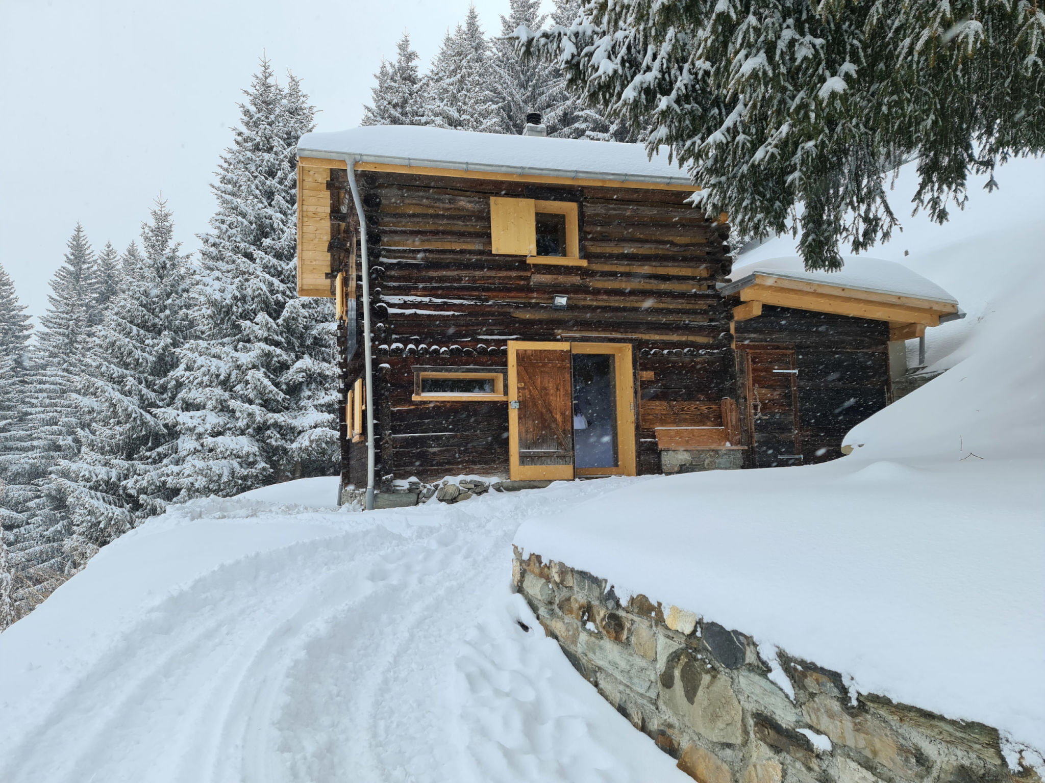 Maiensäss Tegia Cucagna, Rueun, (Rueun), 56001B - Buiten