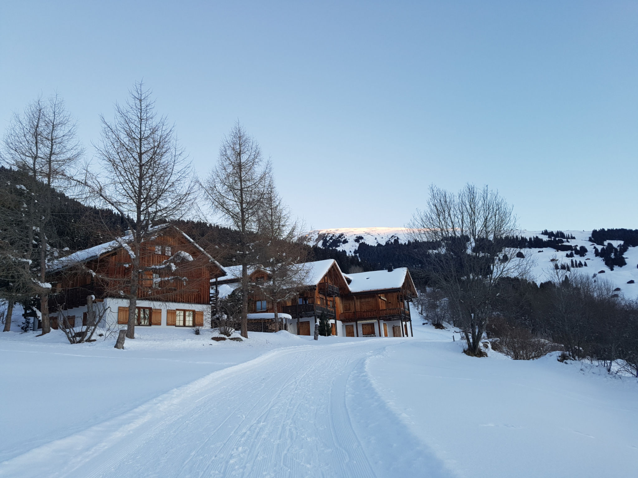 Ferienhaus Casa Seglias, Brigels, (Breil/Brigels), 65097B - Image 5