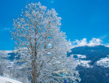 Casa Panorama Camartin: Uw Bergoase met Uitzicht op Brigels - thumbnail 5