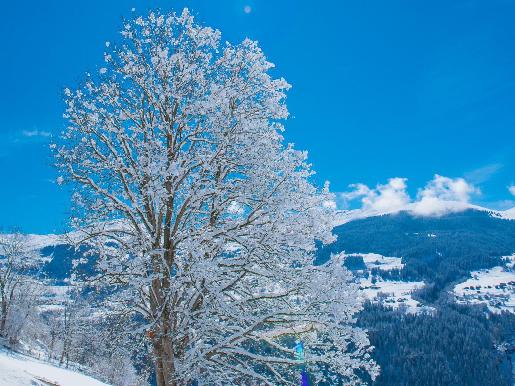 Appartement Casa Panorama Camartin, Brigels, (Breil/Brigels), 65037B – Vue, photo 13 sur 24