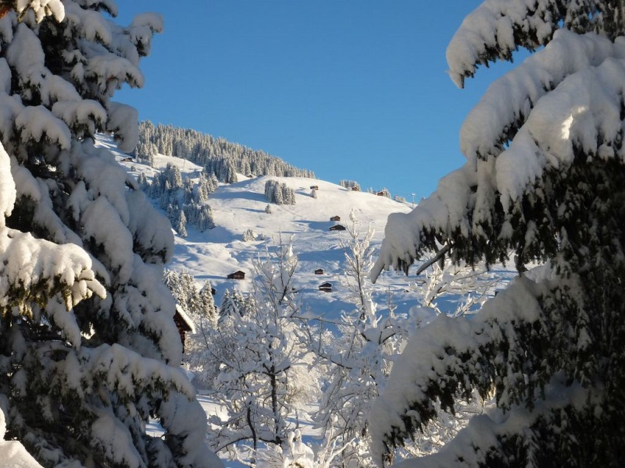 Ferienhaus Arnika Montana, Brigels, (Breil/Brigels), 65044B - Binnen
