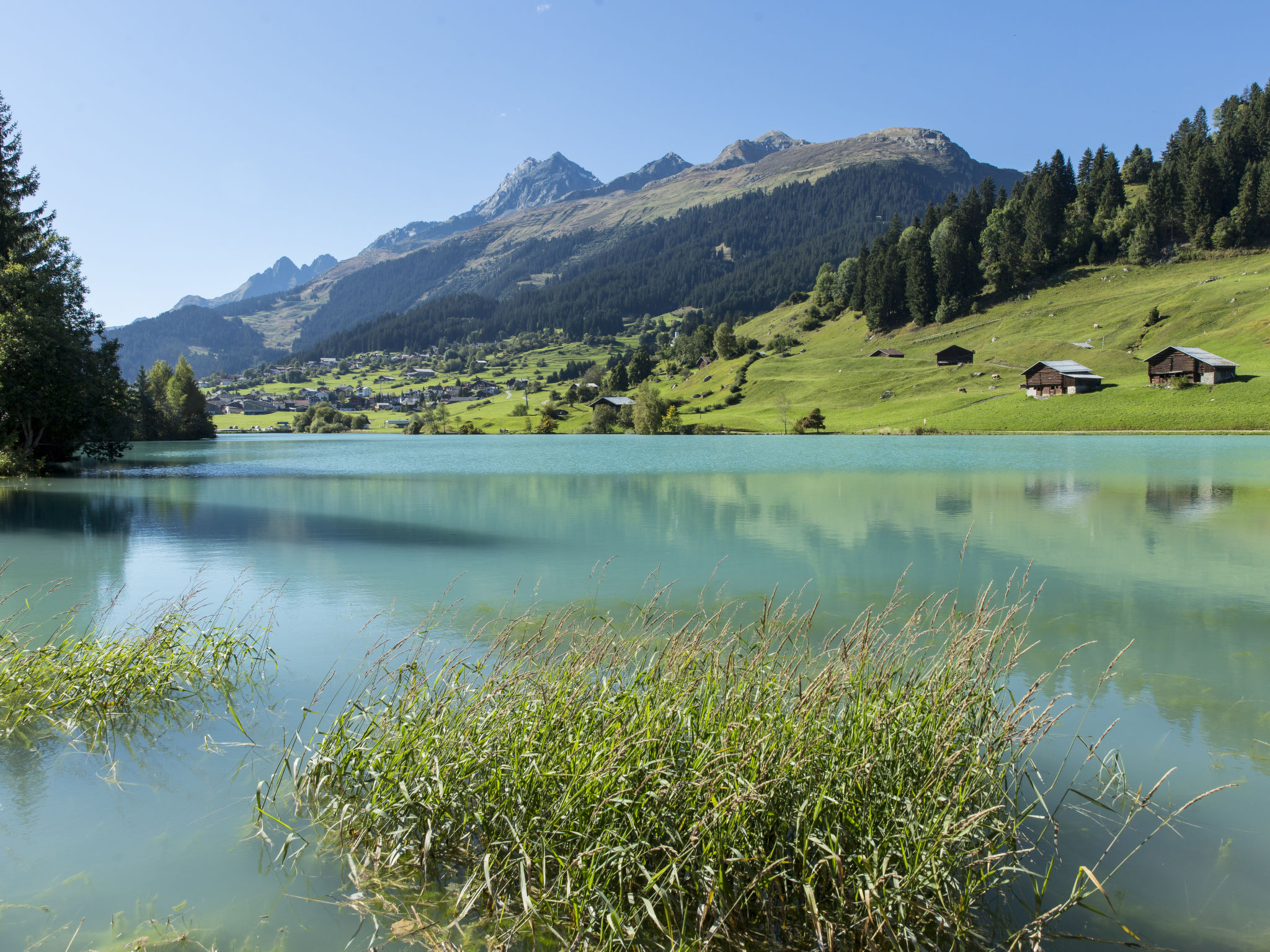 Alpina Schmed, Brigels, (Breil/Brigels). - Umgebung