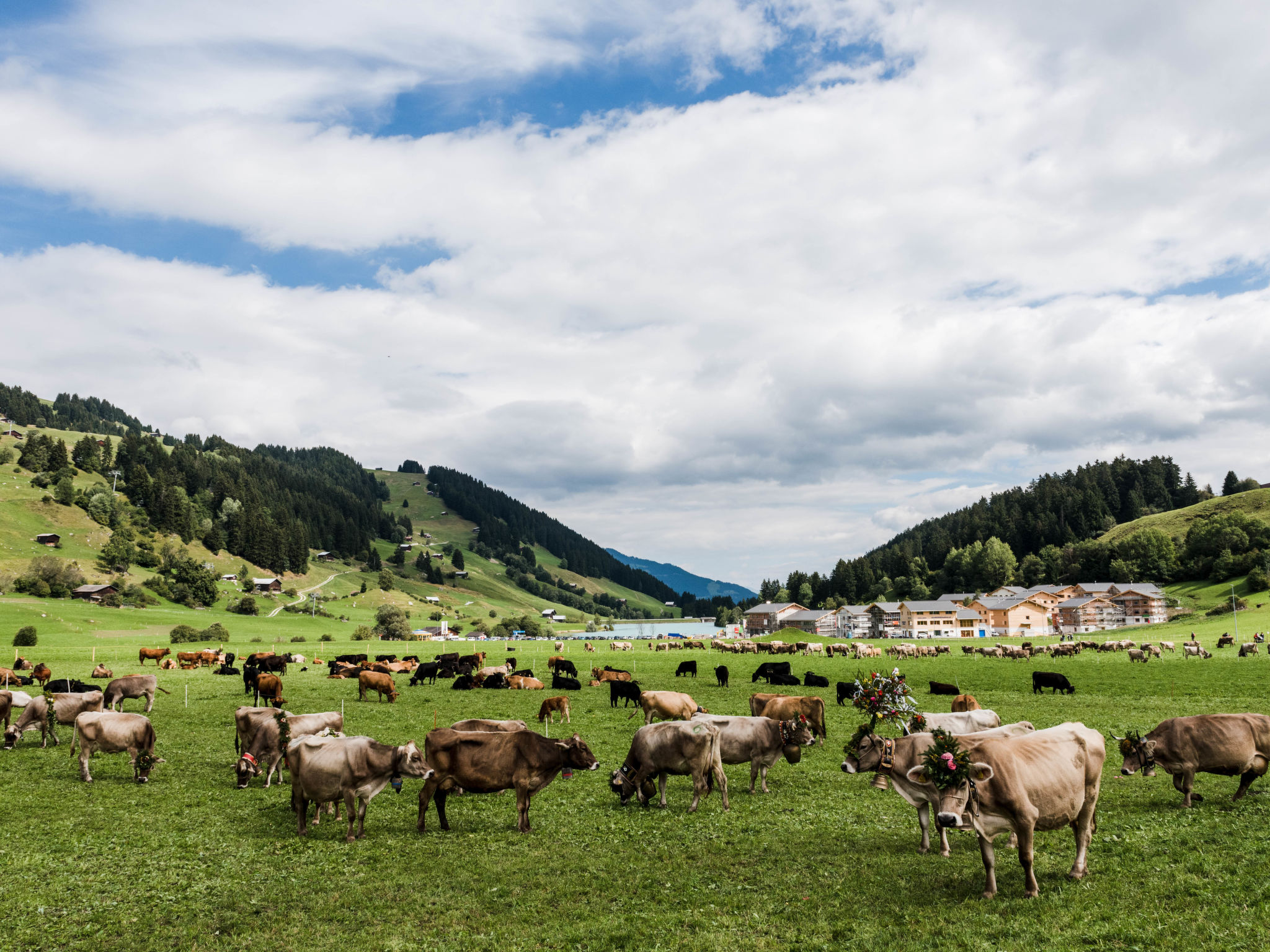 Tschuppina Schiess, Brigels, (Breil/Brigels). - Environnement