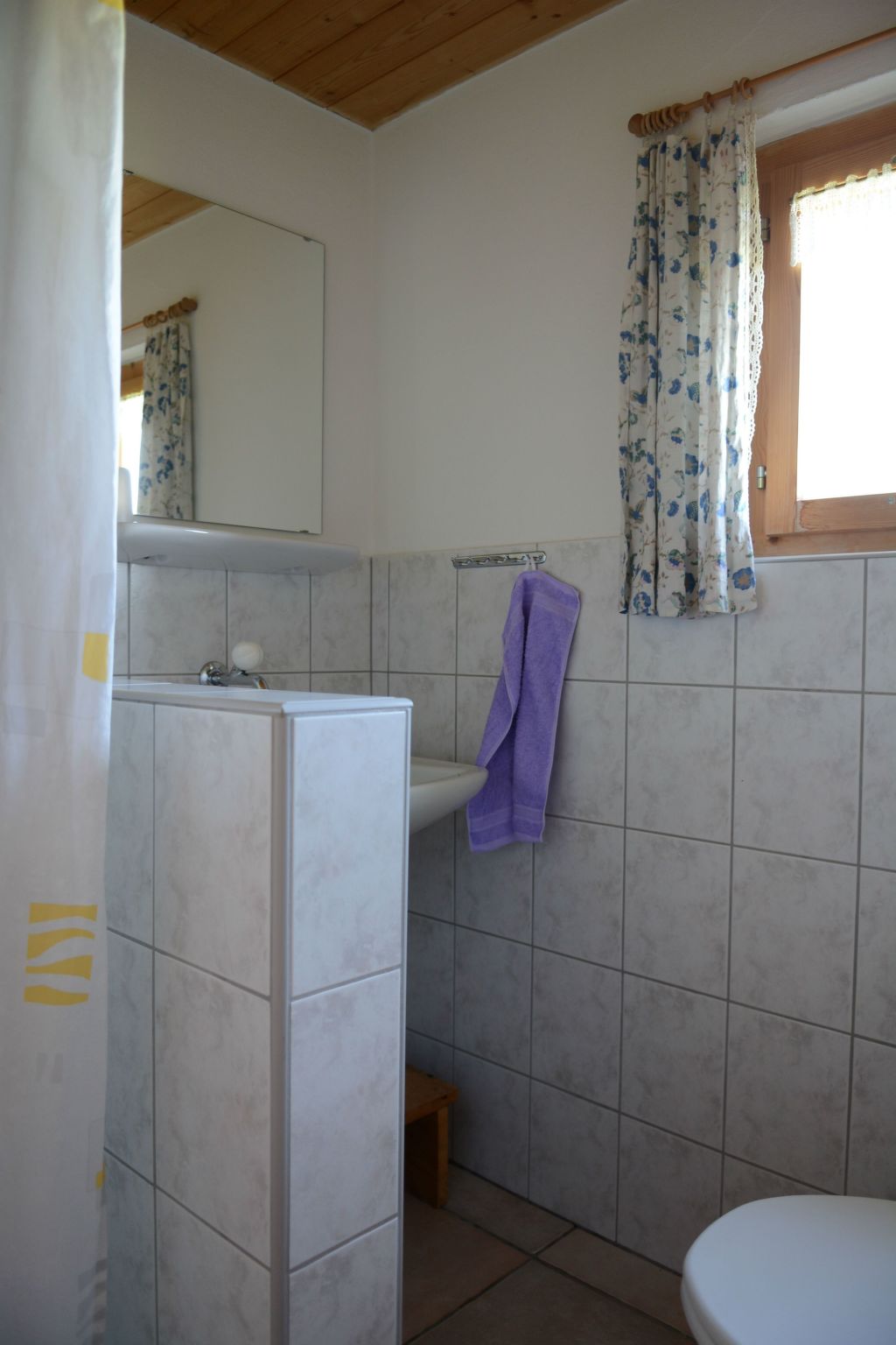Appartement Maiensäss Plumarscha Friberg, Brigels, (Breil/Brigels), 65036B – Extérieur de la maison, photo 18 sur 21