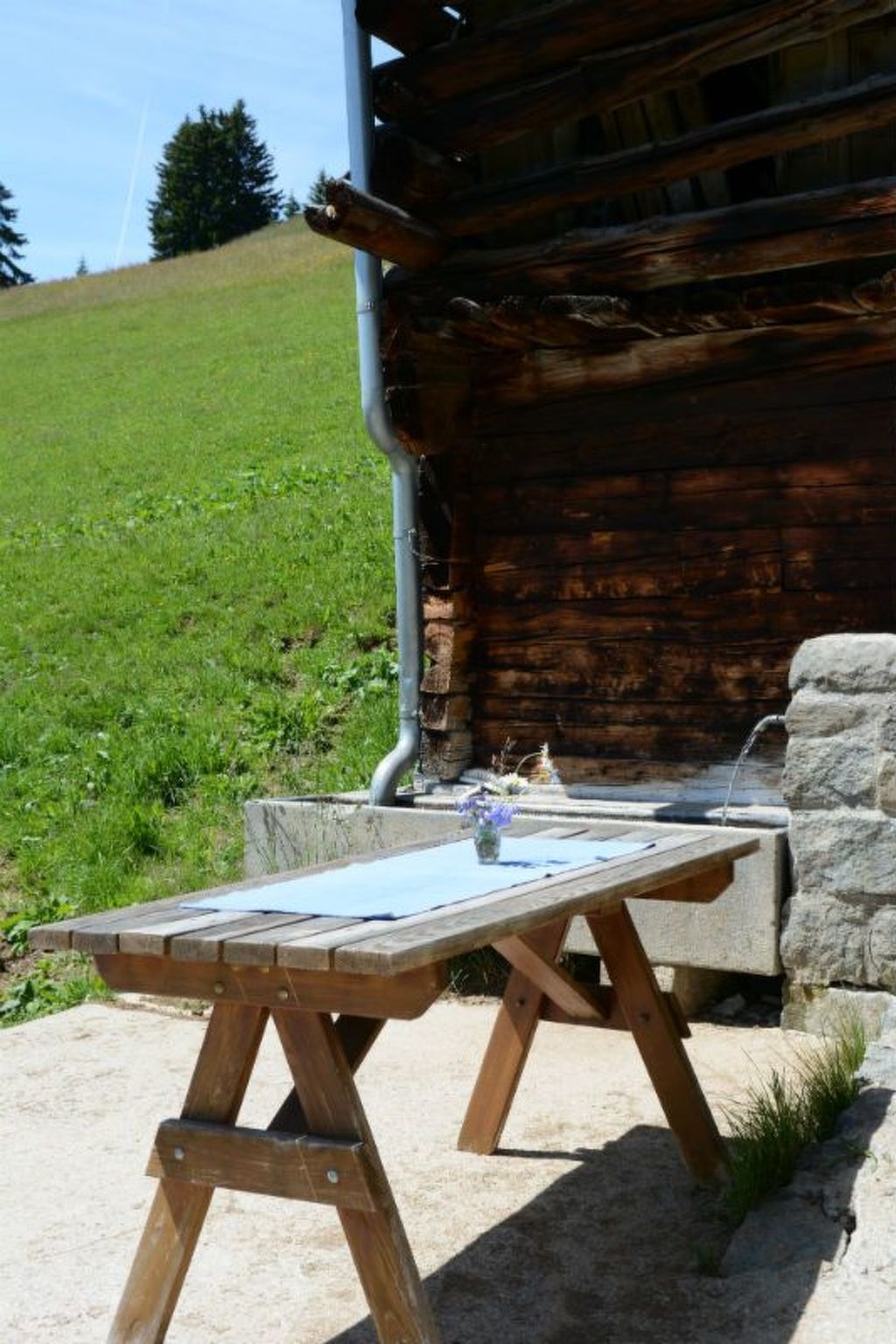 Appartement Maiensäss Plumarscha Friberg, Brigels, (Breil/Brigels), 65036B – Terrasse, photo 20 sur 21