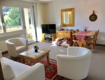 Ferienwohnung Disentiserhof Hönig