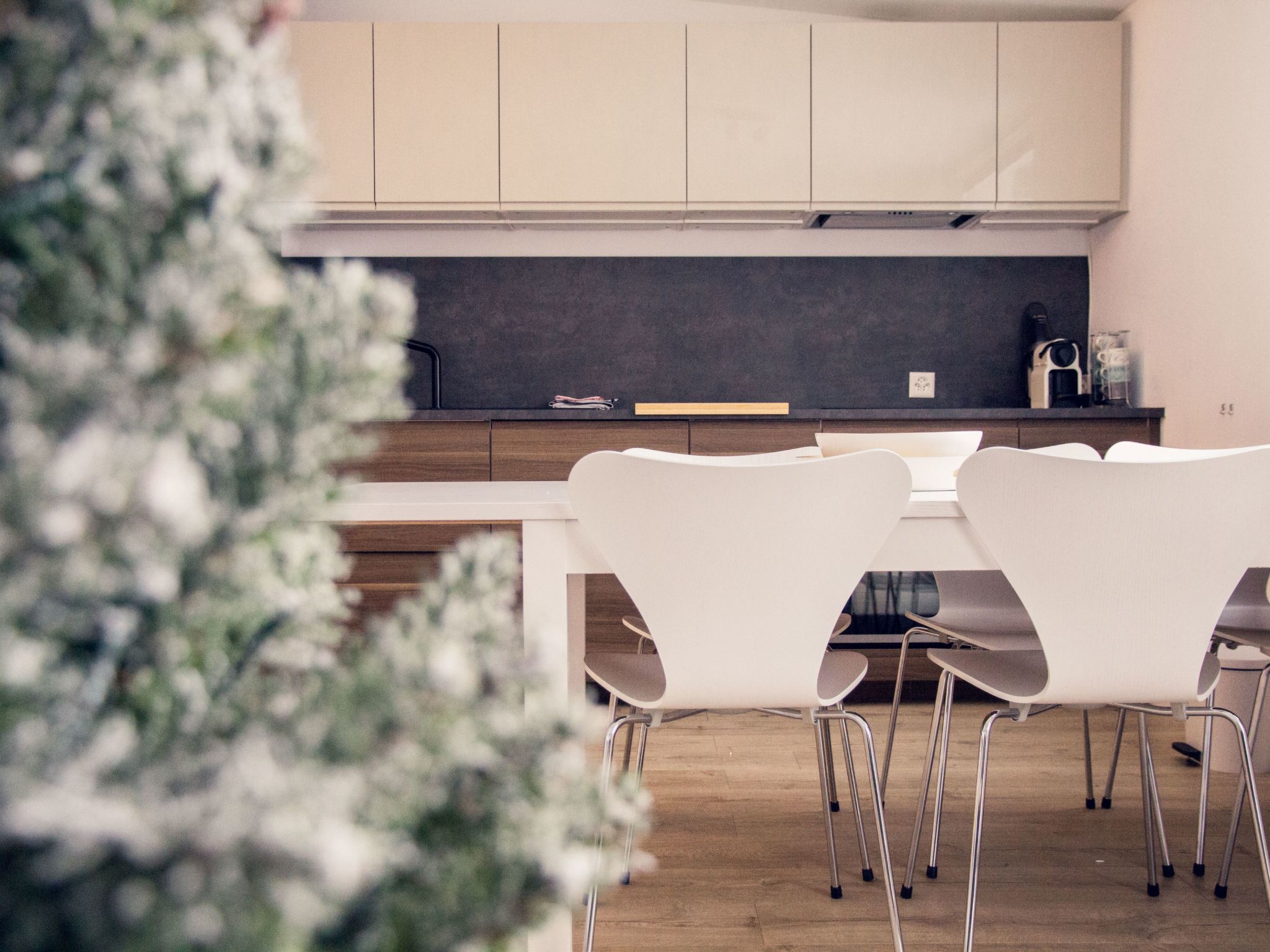 Cucagna Whg 403 De Mulder, (Disentis/Mustér). - Binnen