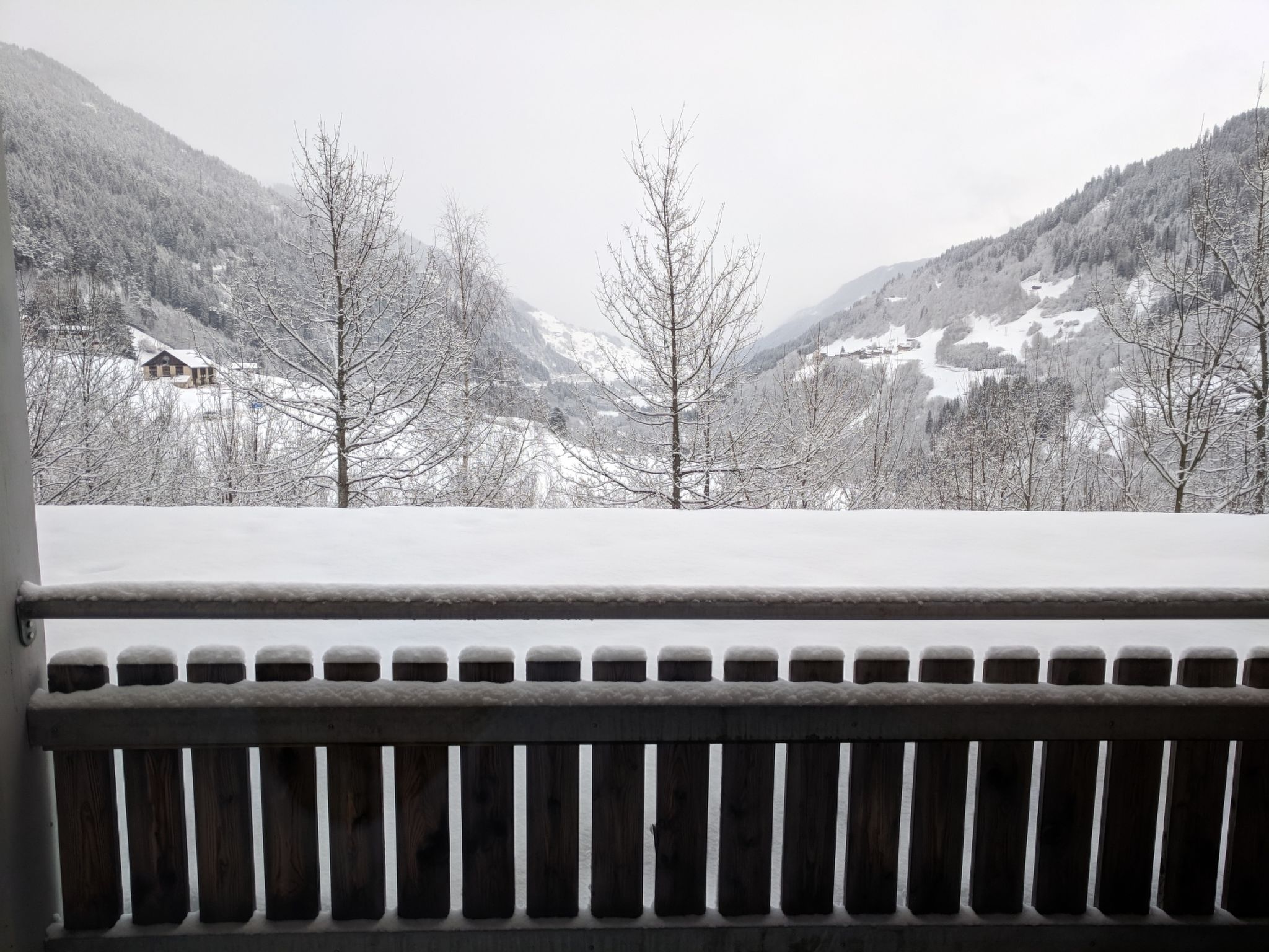 Disentiserhof Haus C 102, (Disentis/Mustér), 1038 - Image 5