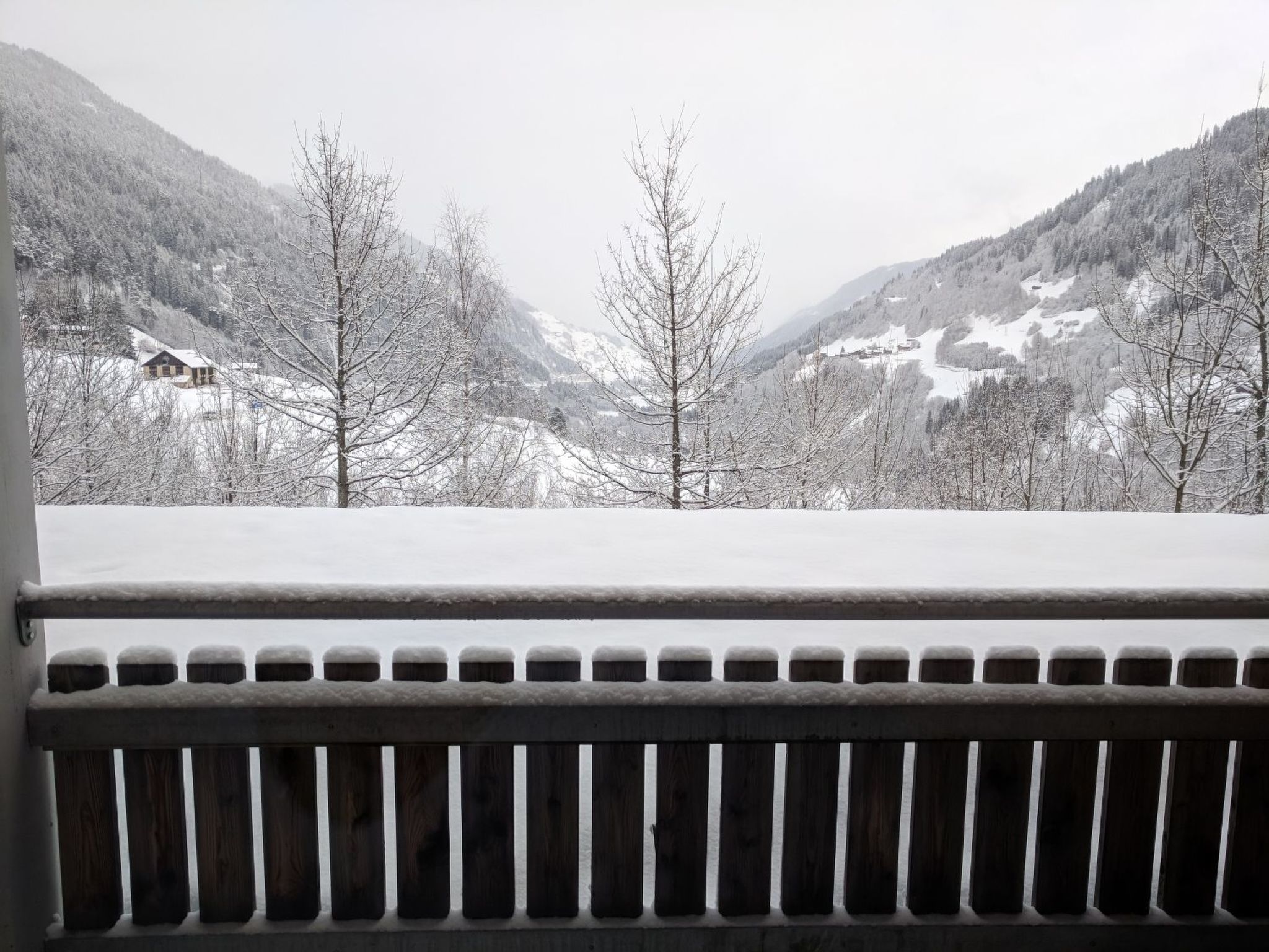 Disentiserhof Haus C 102, (Disentis/Mustér), 1038
