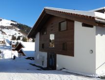 Knus appartement in Camischolas met terras en bergzicht, dichtbij Sedrun - thumbnail 1