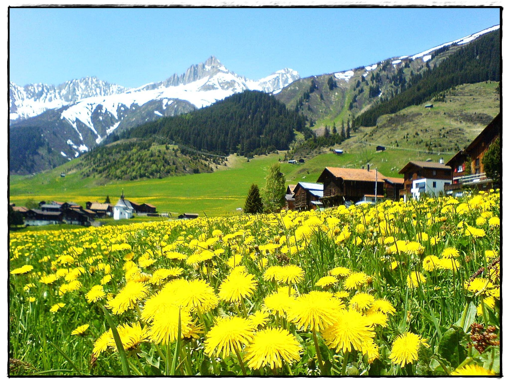 Chalet Dargun Bünter, (Camischolas/Sedrun), 221./222./224./.01+.02+.03 - Buiten